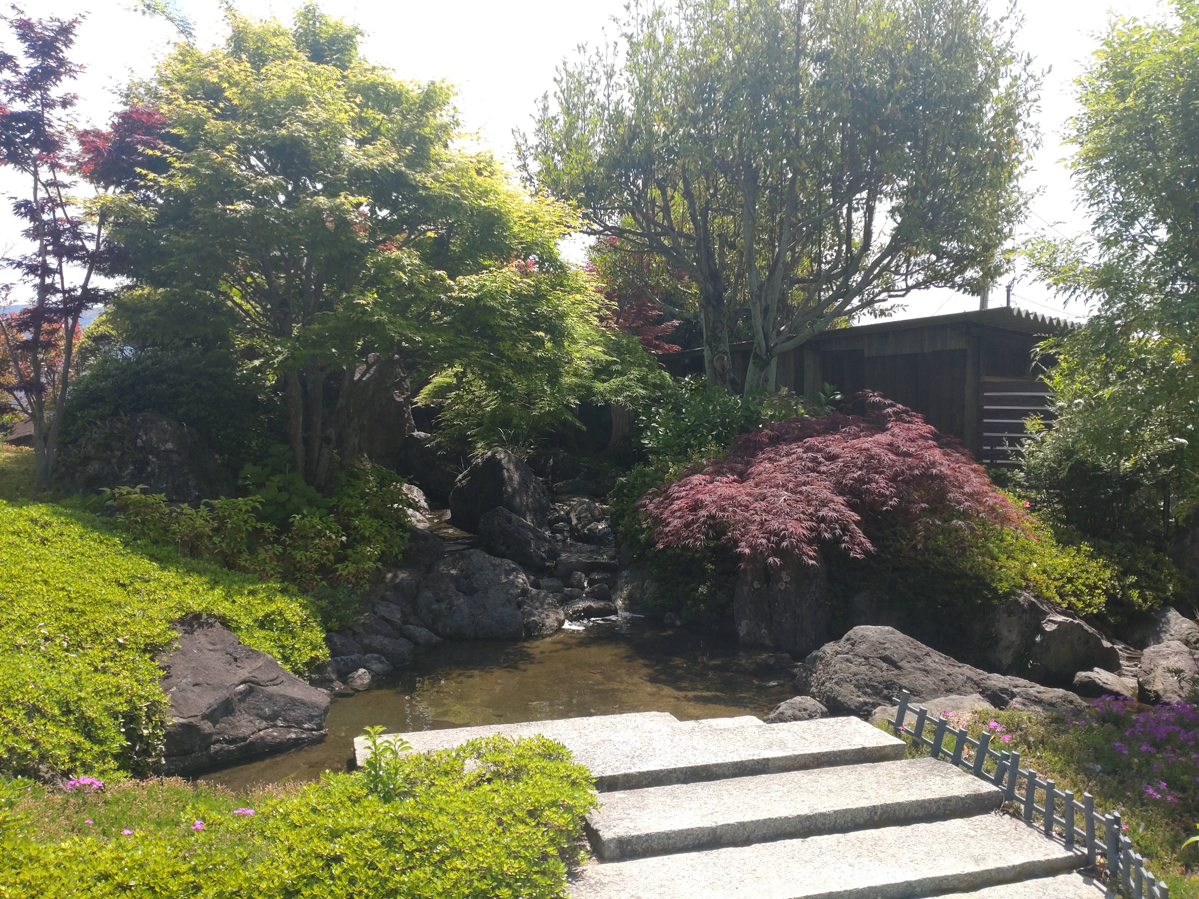 寄り道して参拝してきました！！
