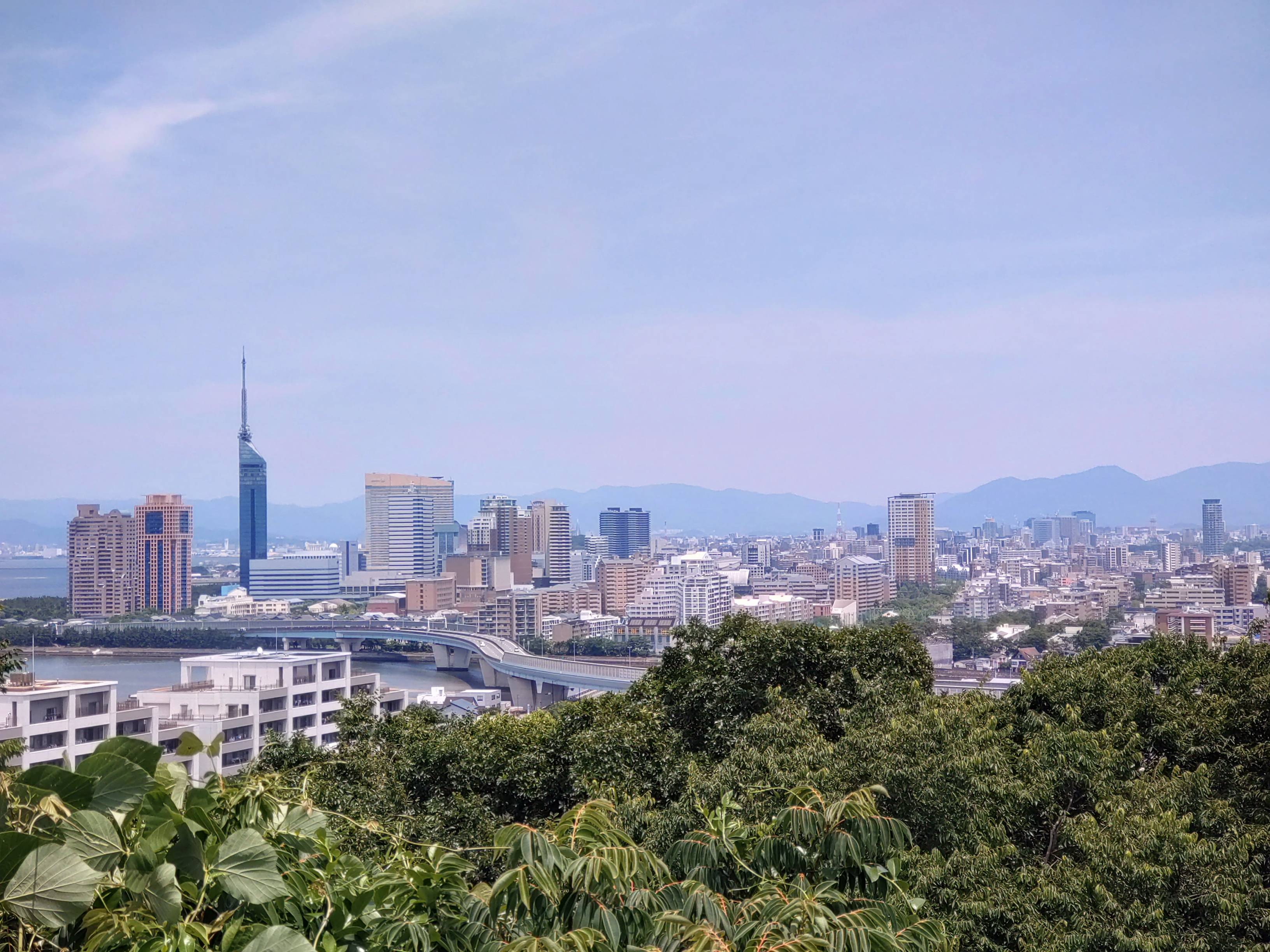やっぱり絶景でした！