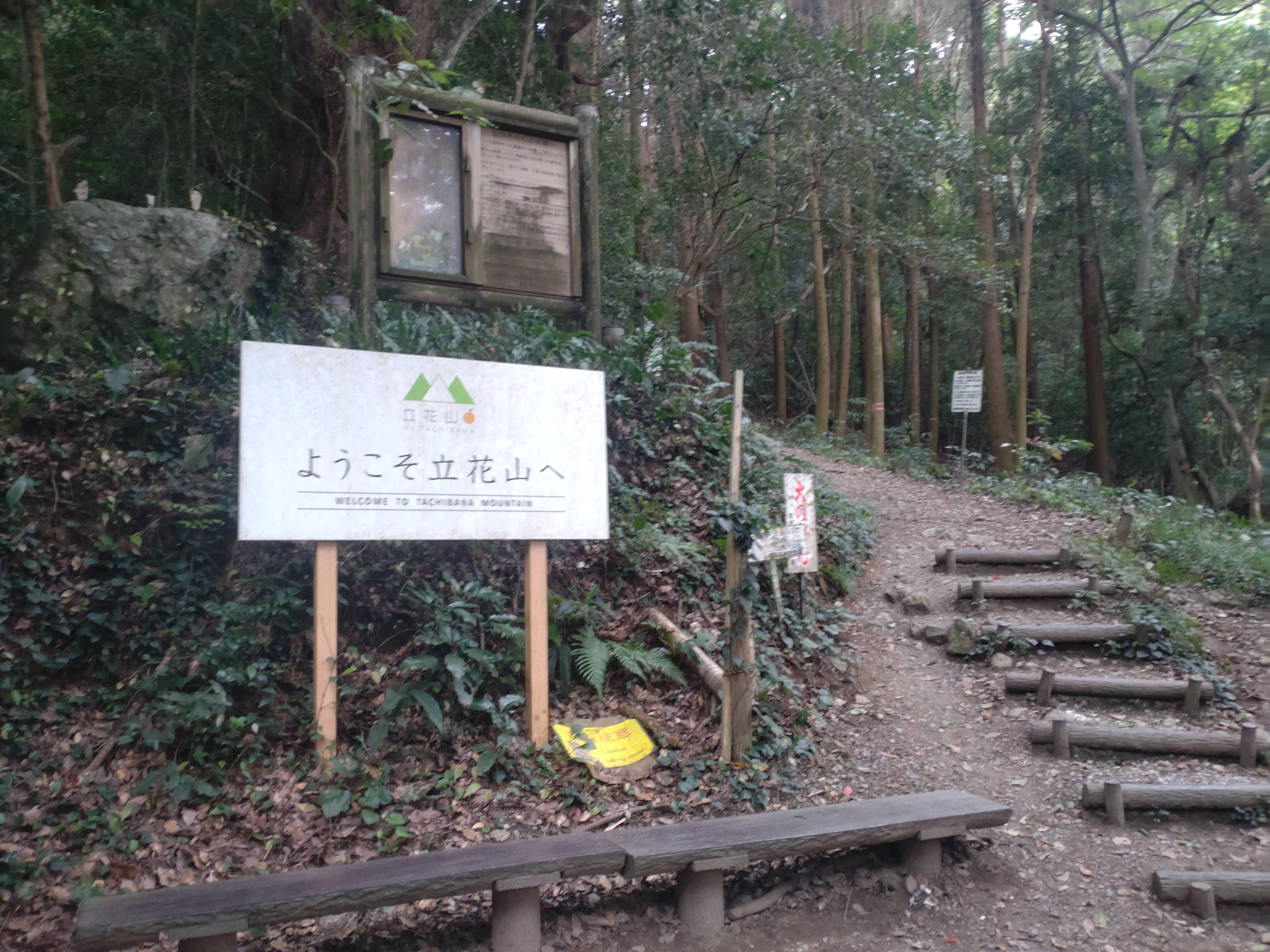 山登り！！