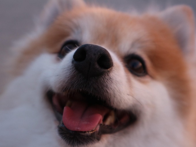 カメラ始めました！！02