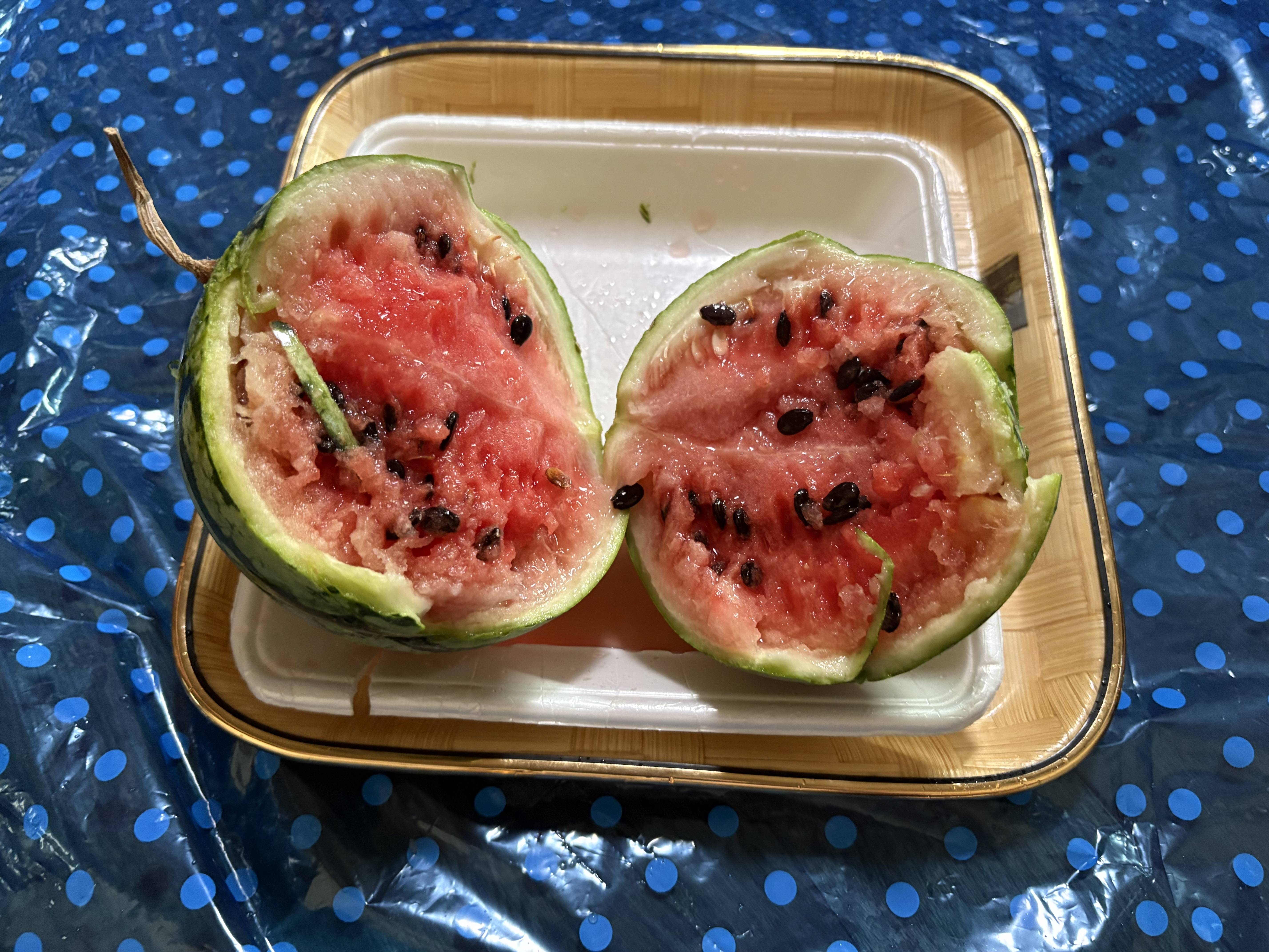 季節はすっかり夏ですね01