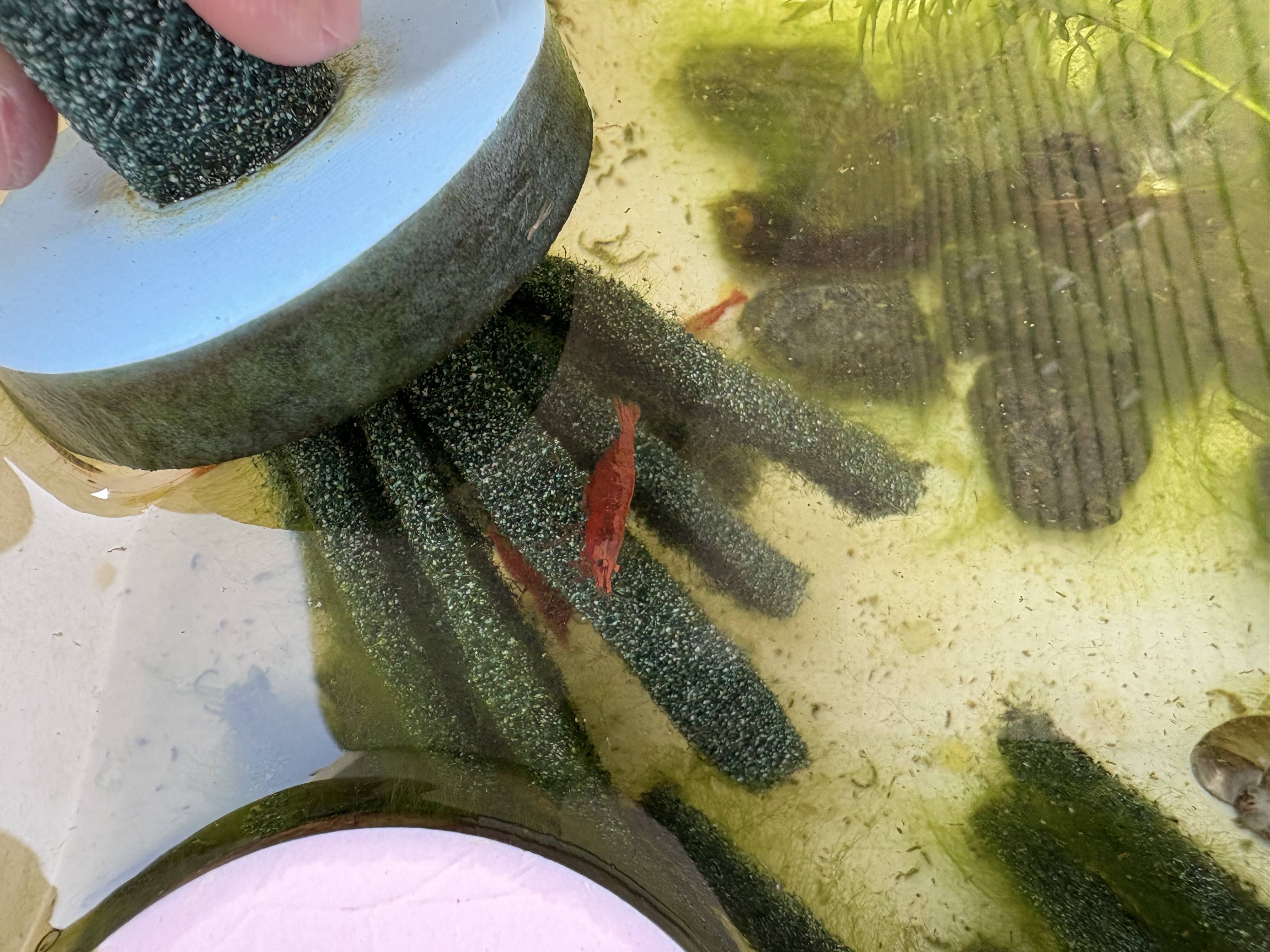 ご紹介！