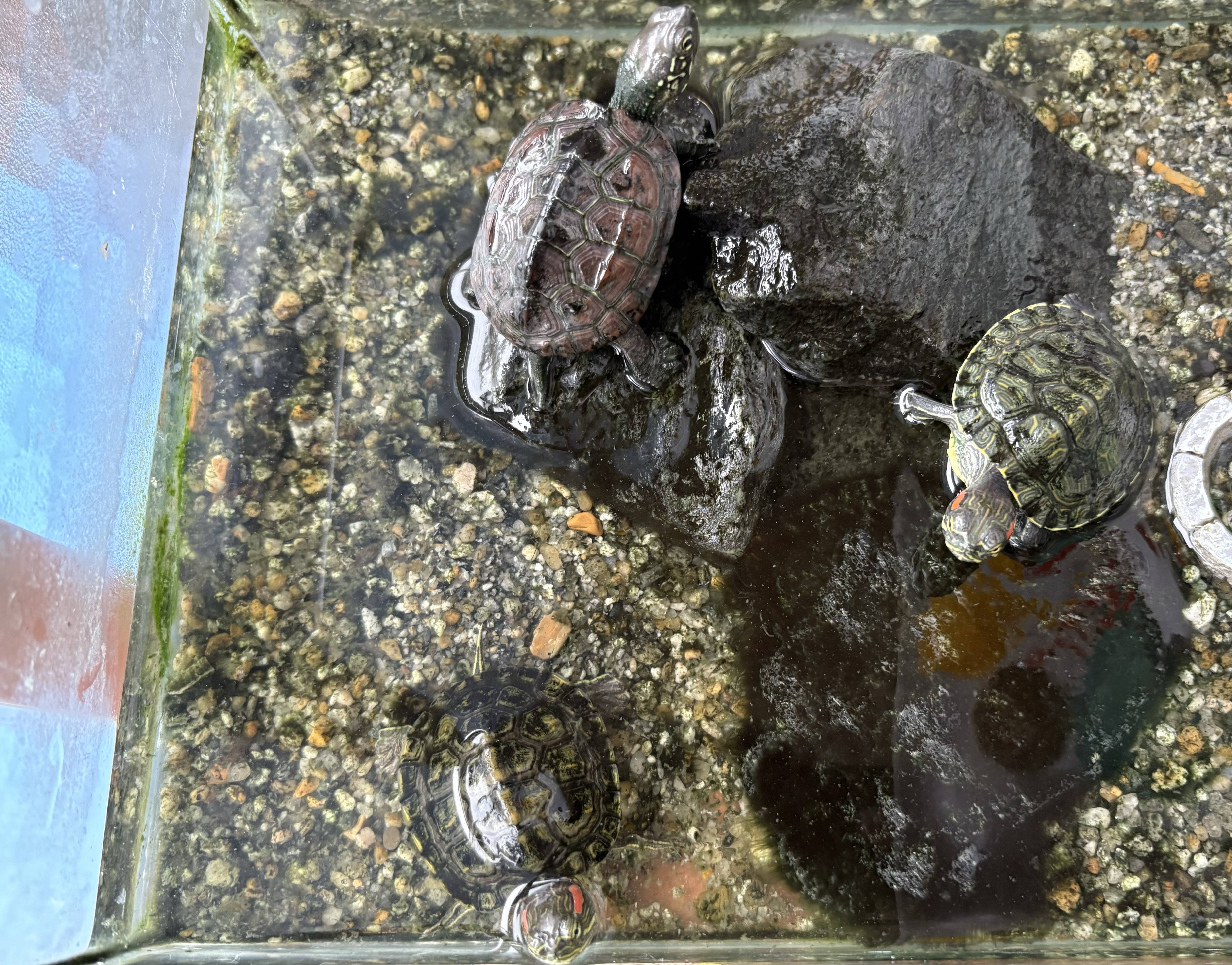 行ってきました！