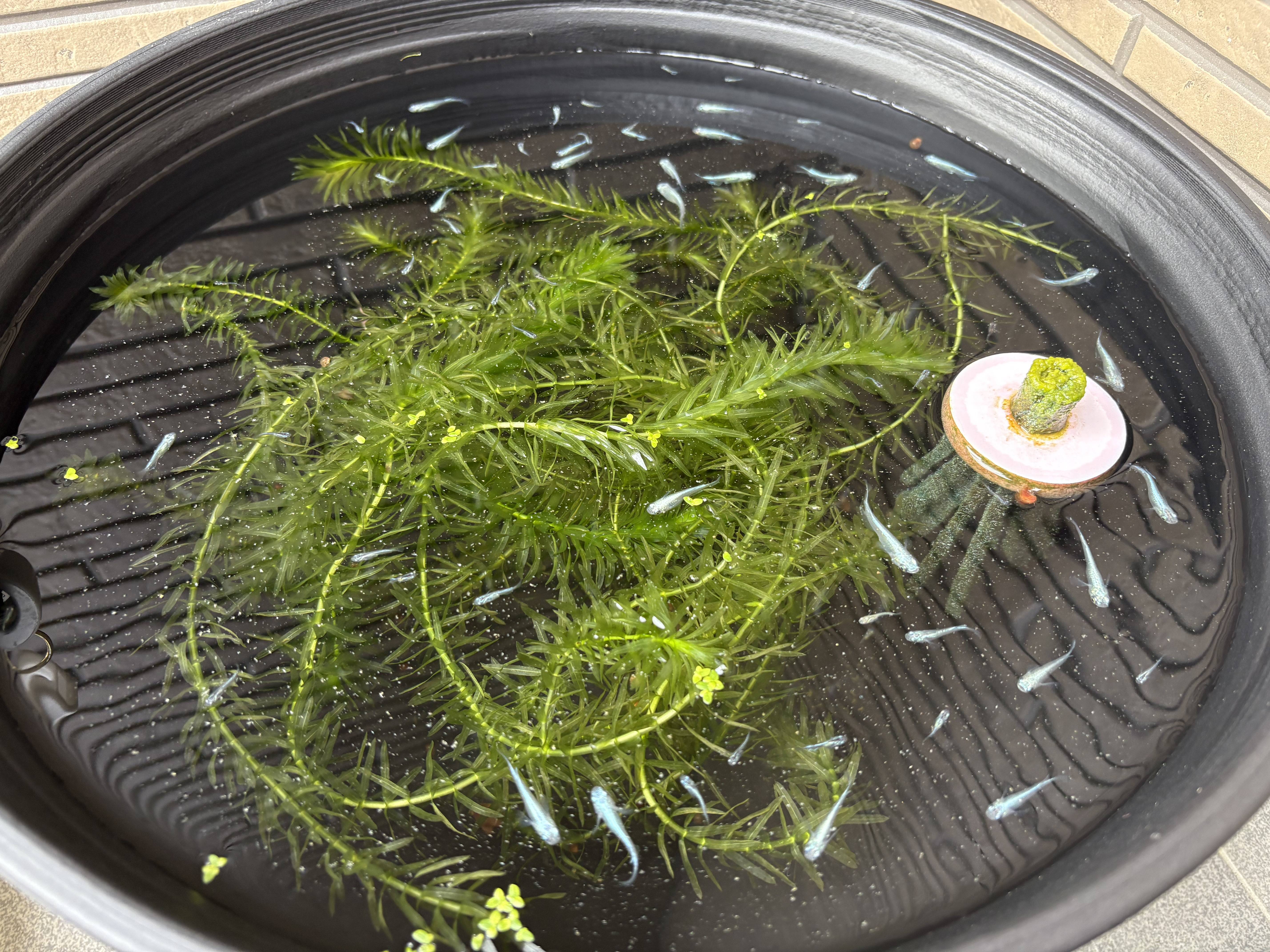 デビューしました！01