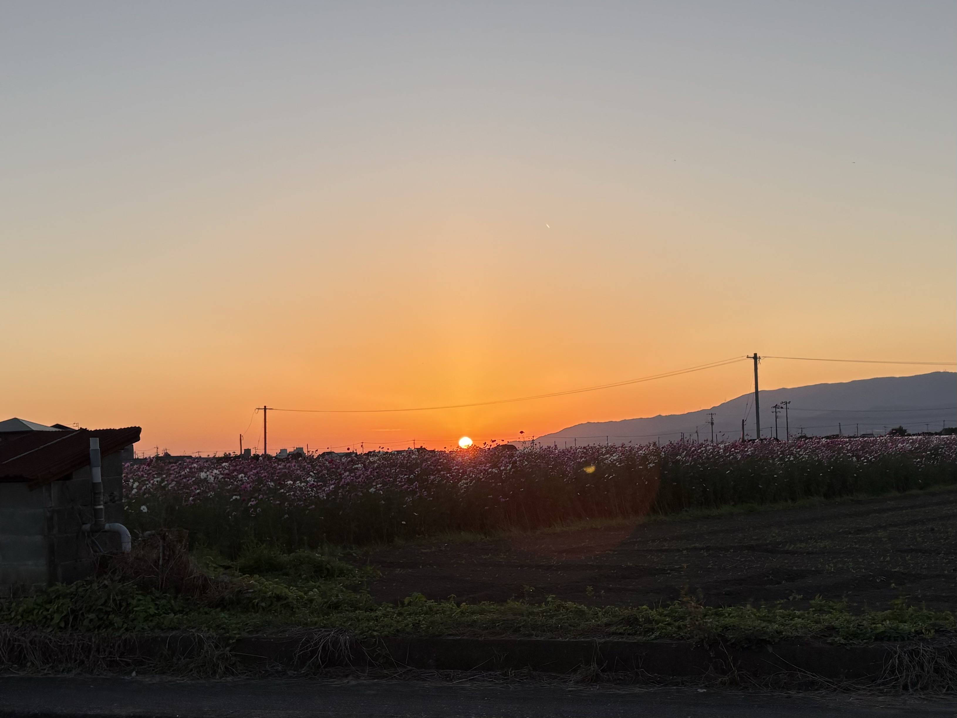 いつかの夕焼け