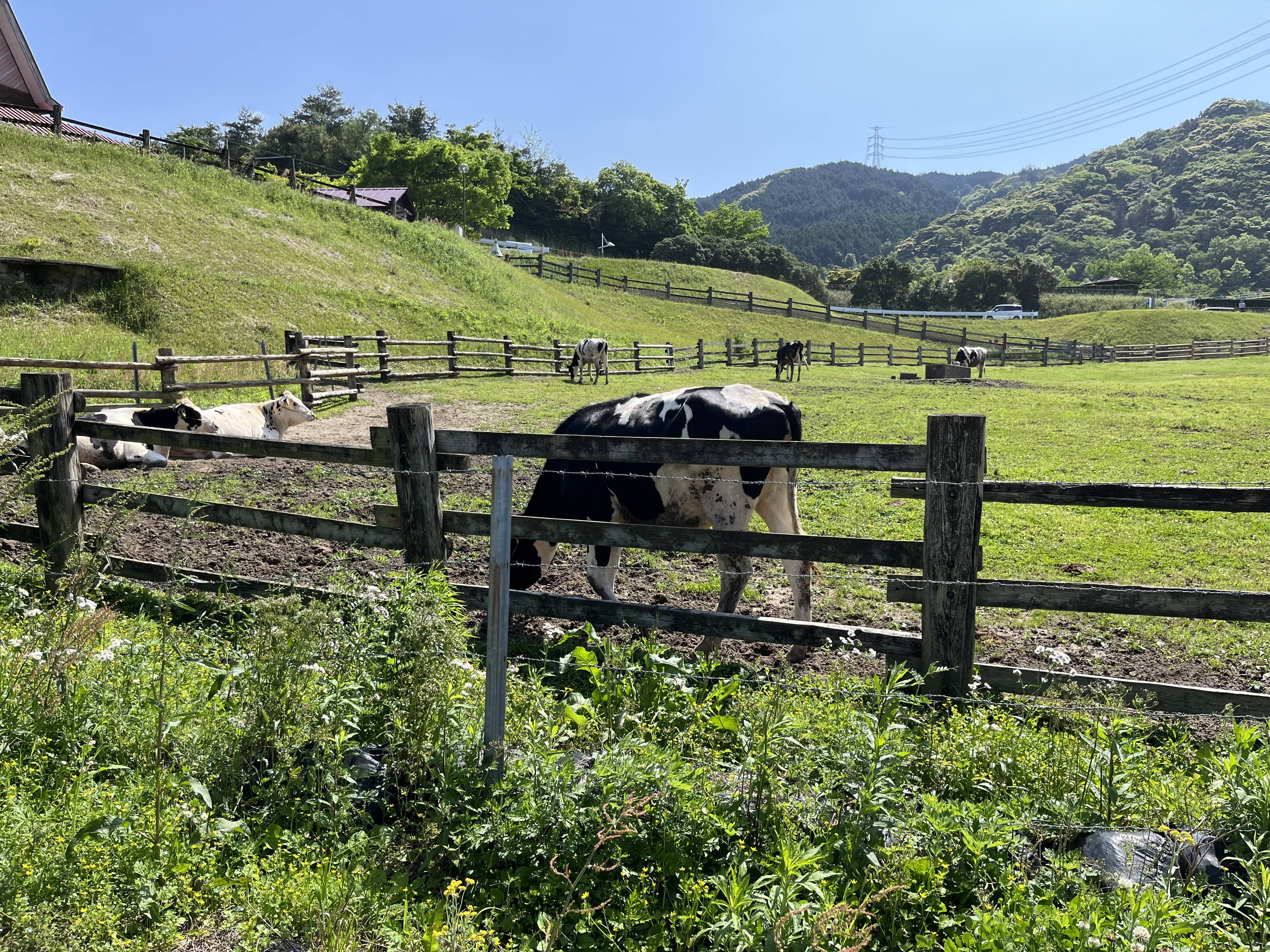 いつの何処だか