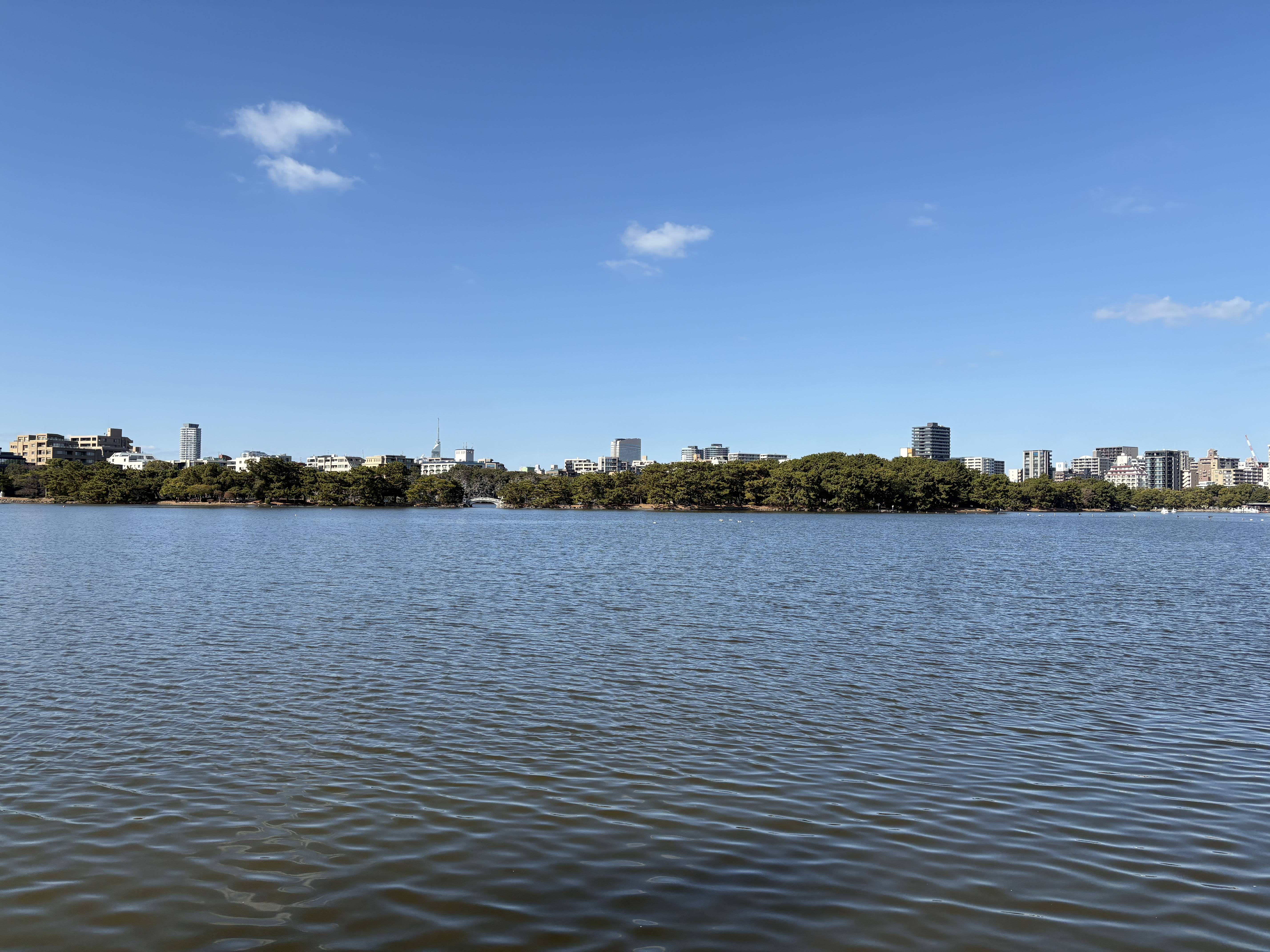 行ってきました！