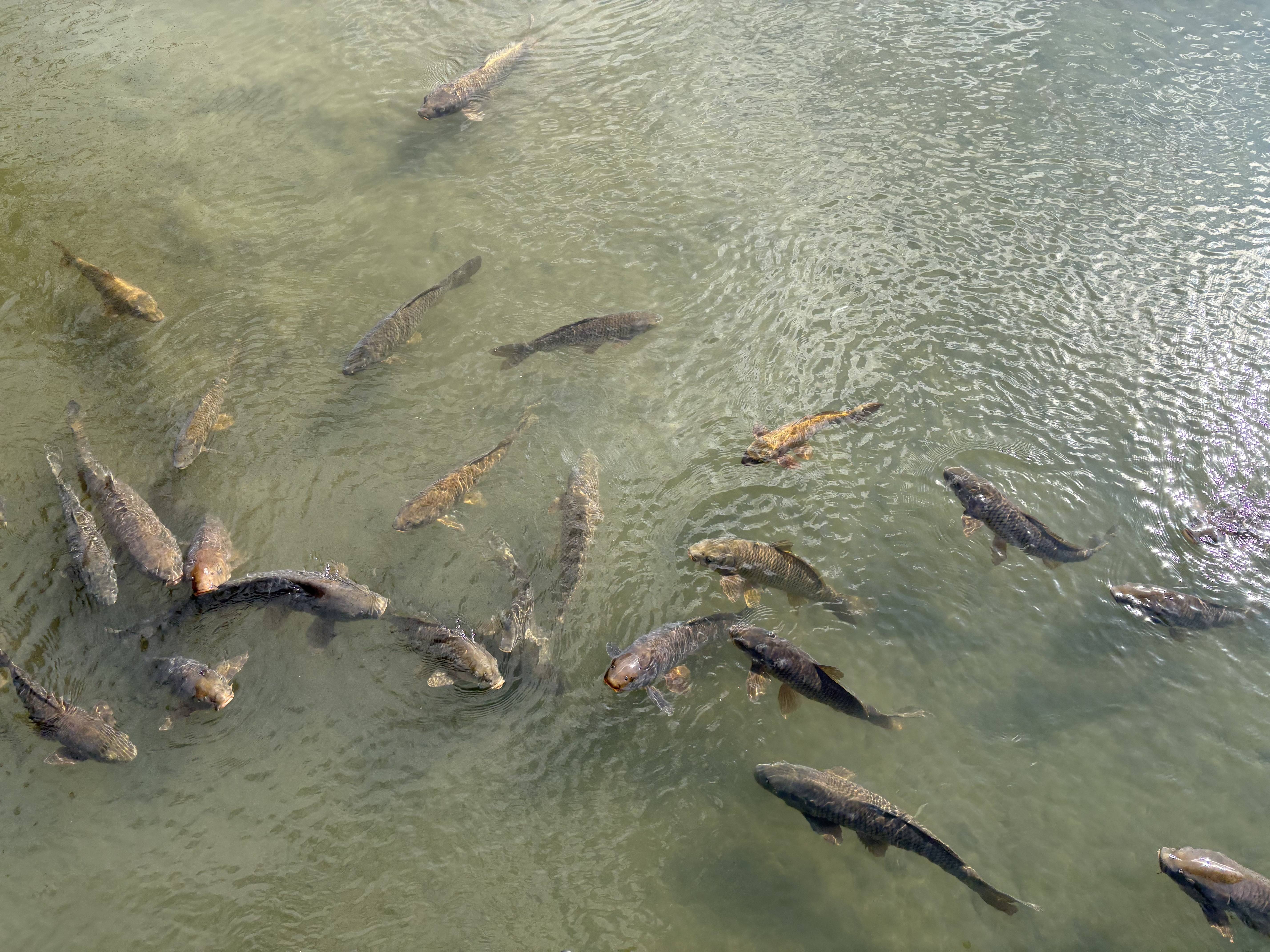 どこでしょう？