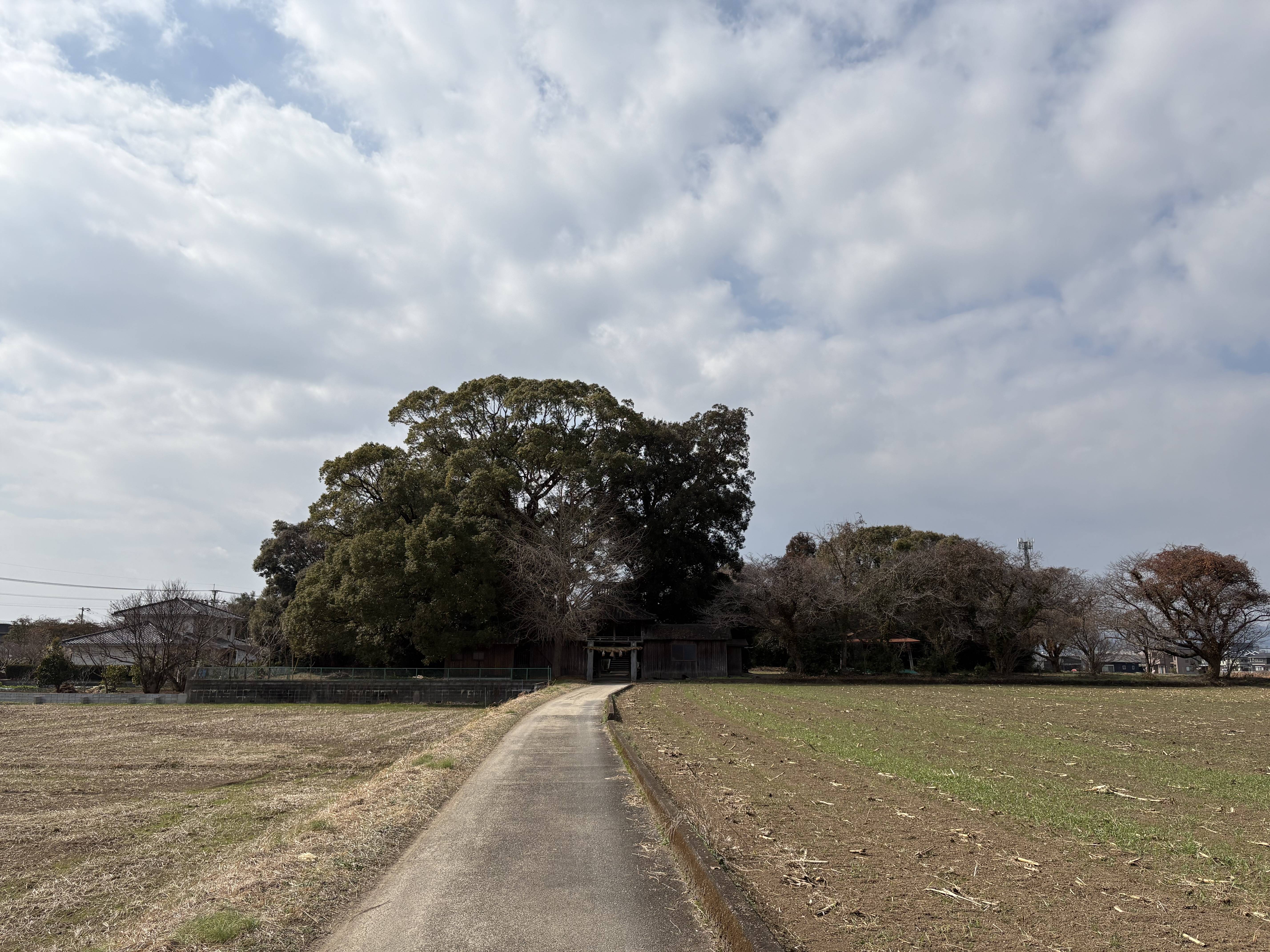 行ってきました!