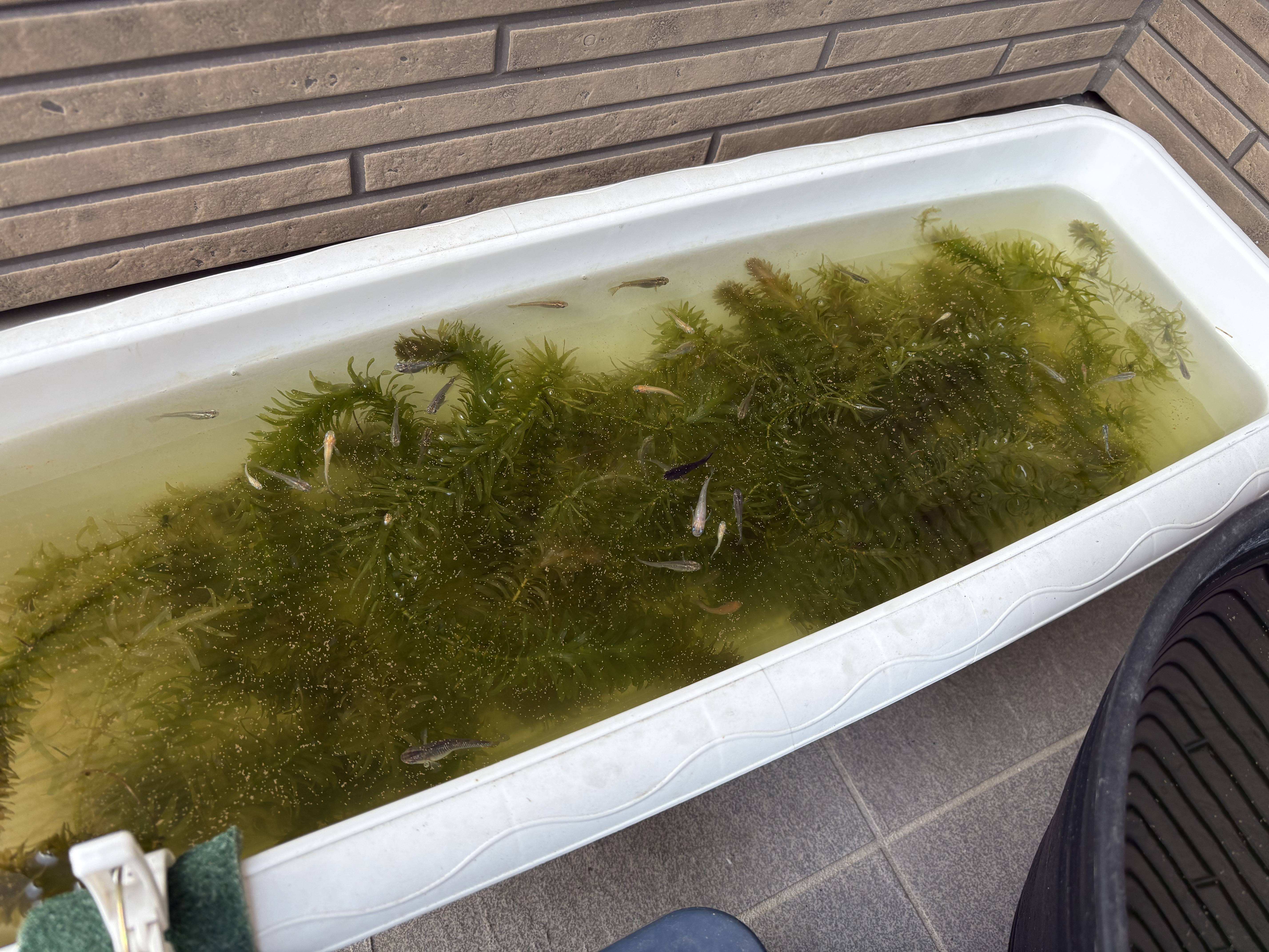 暖かくなってきました！