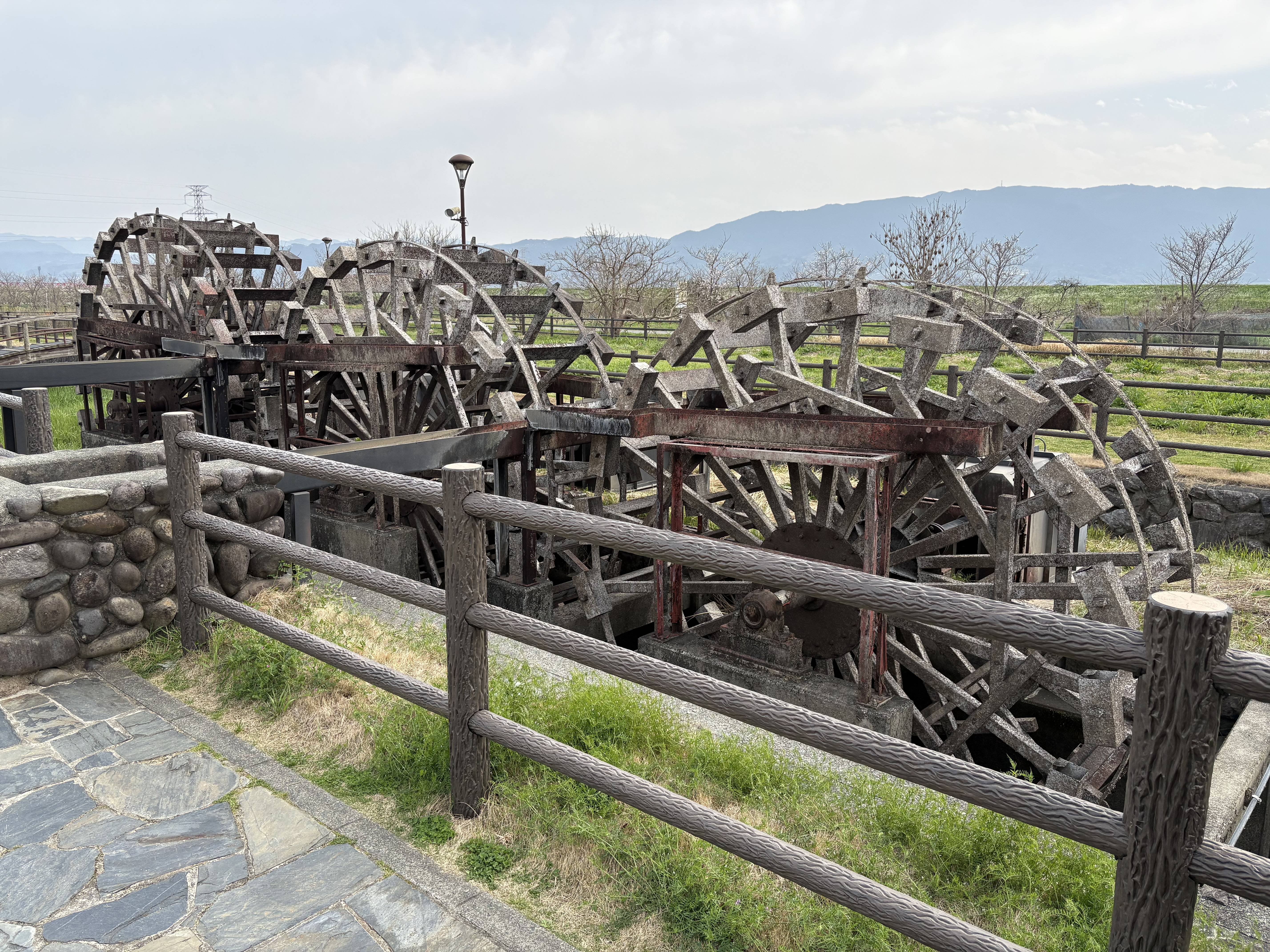 初めて見ました！