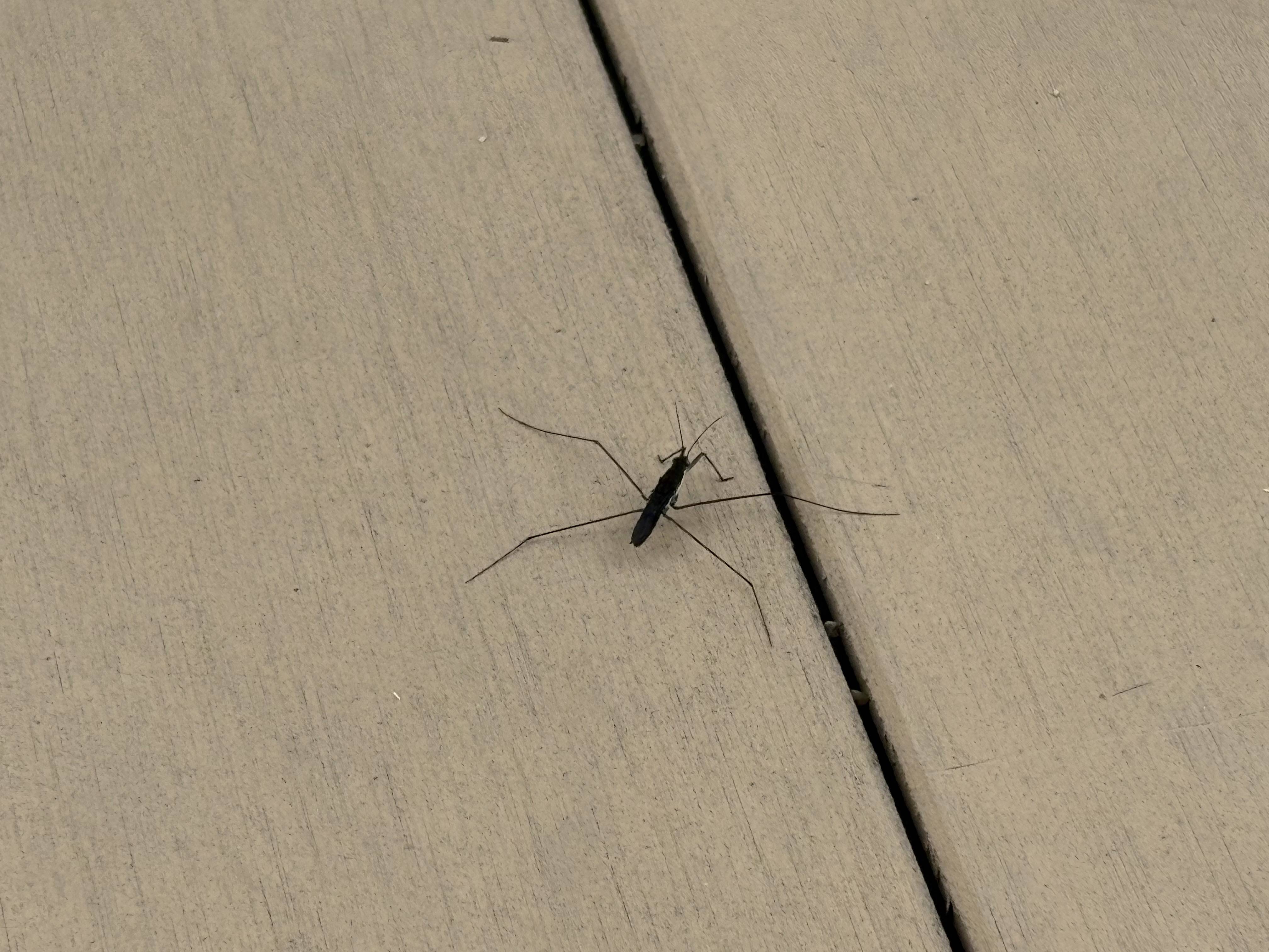 こんなところに？