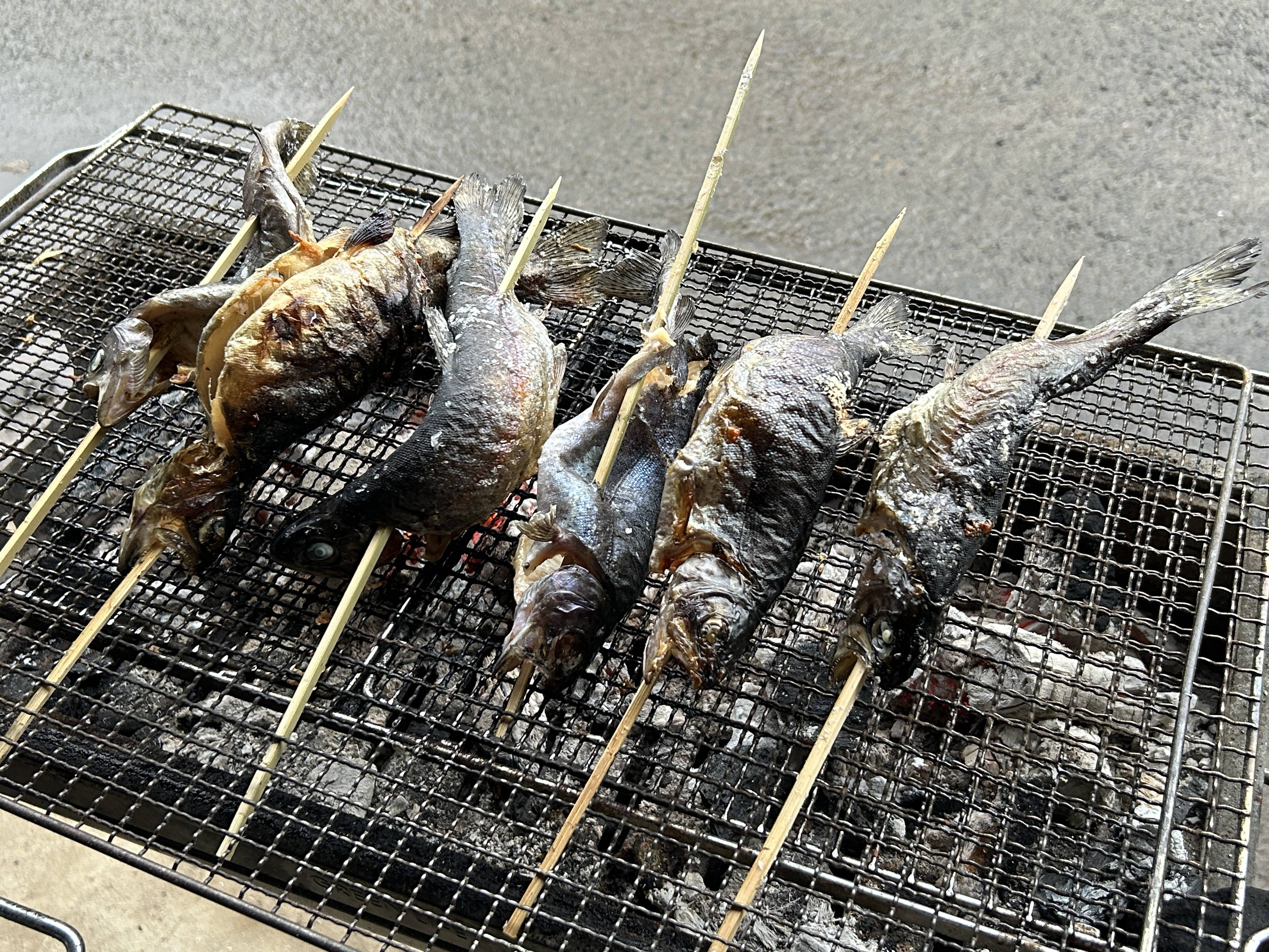 ☆★☆川魚を釣りに行き、BBQ☆★☆