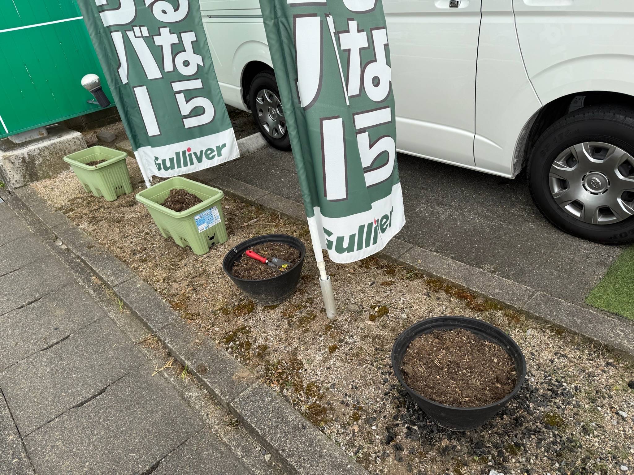 夏でも元気に！お花お花お花01