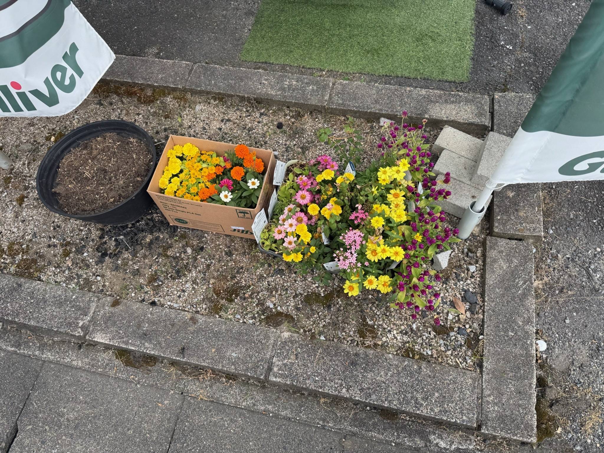 夏でも元気に！お花お花お花