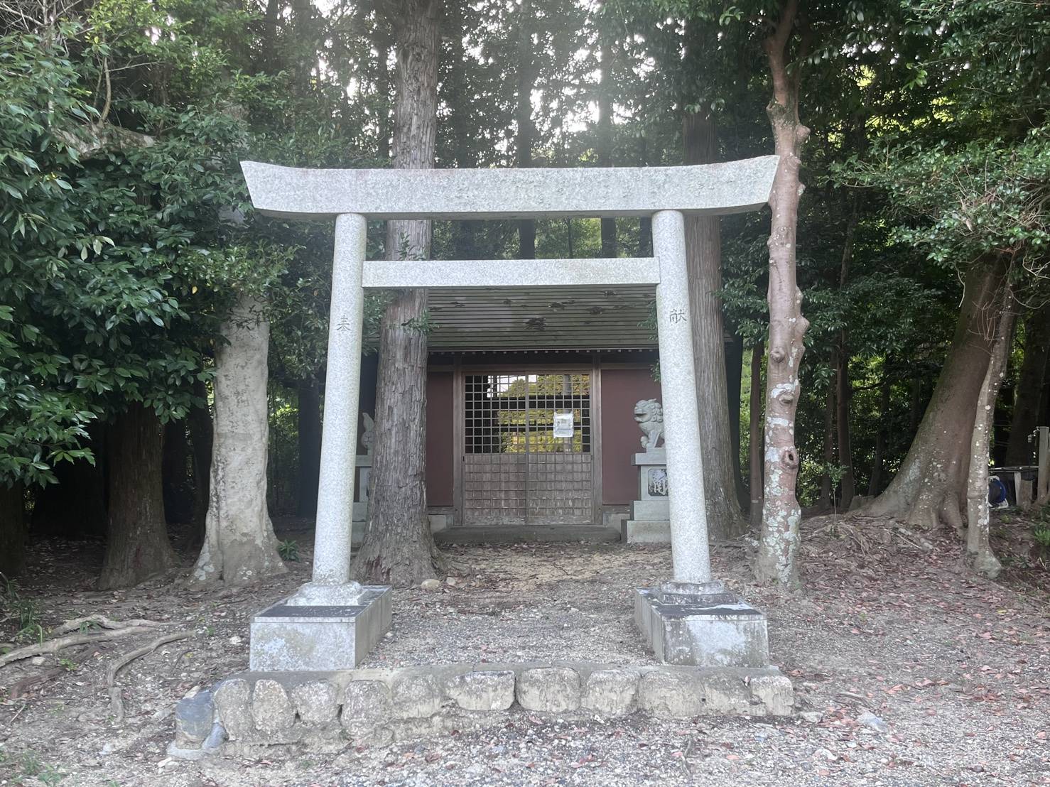 【散歩】01