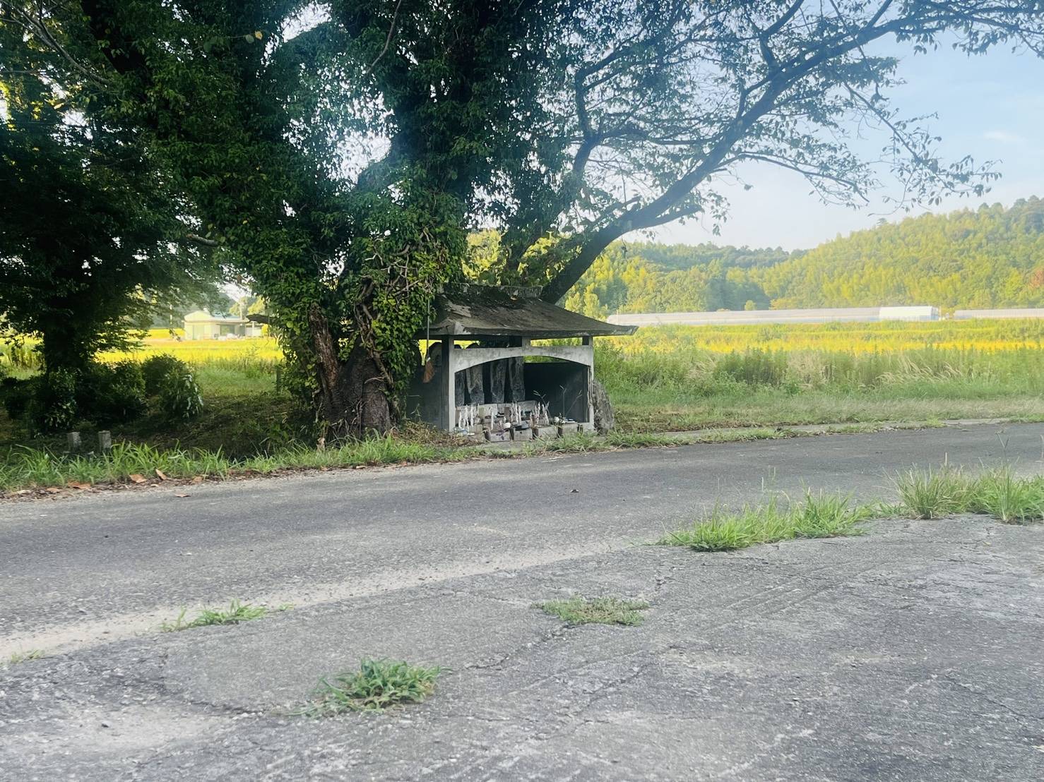 【散歩道】02