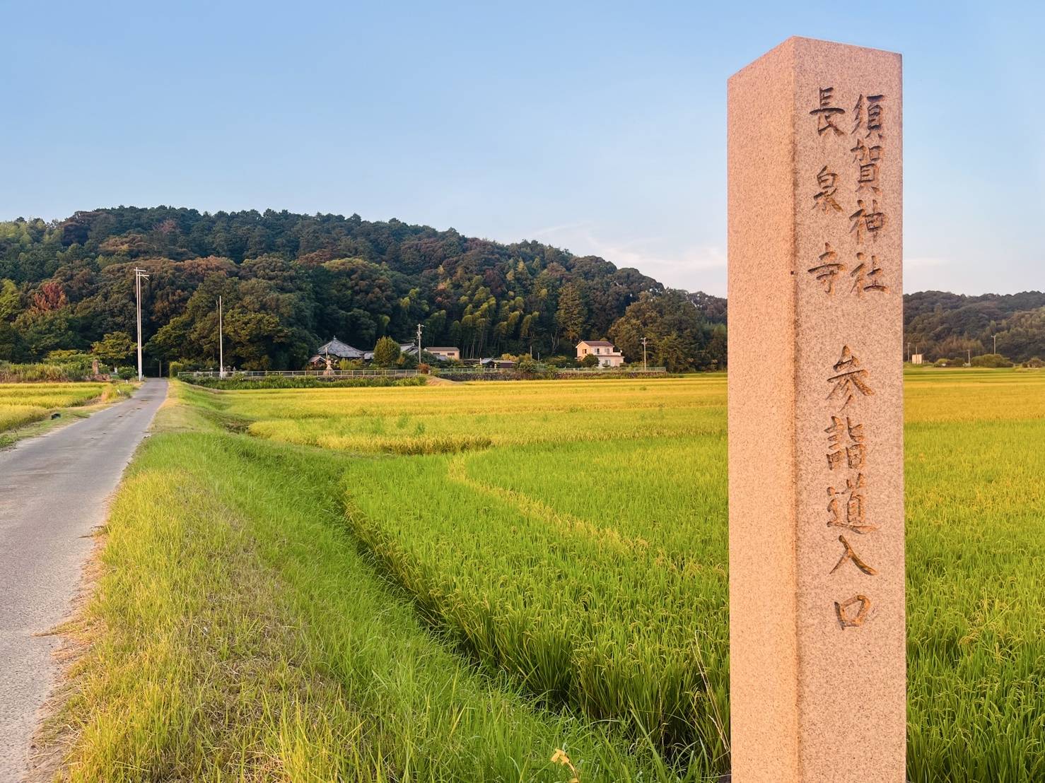 【散歩道】01