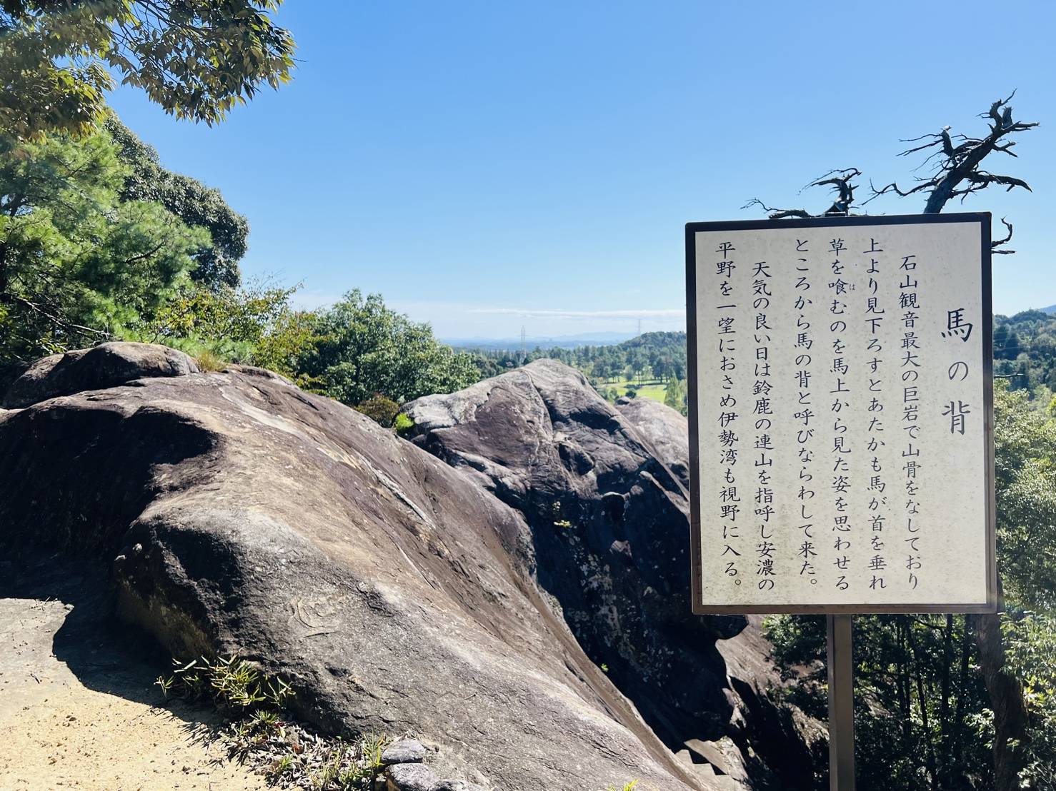 【ついに行きました！！】