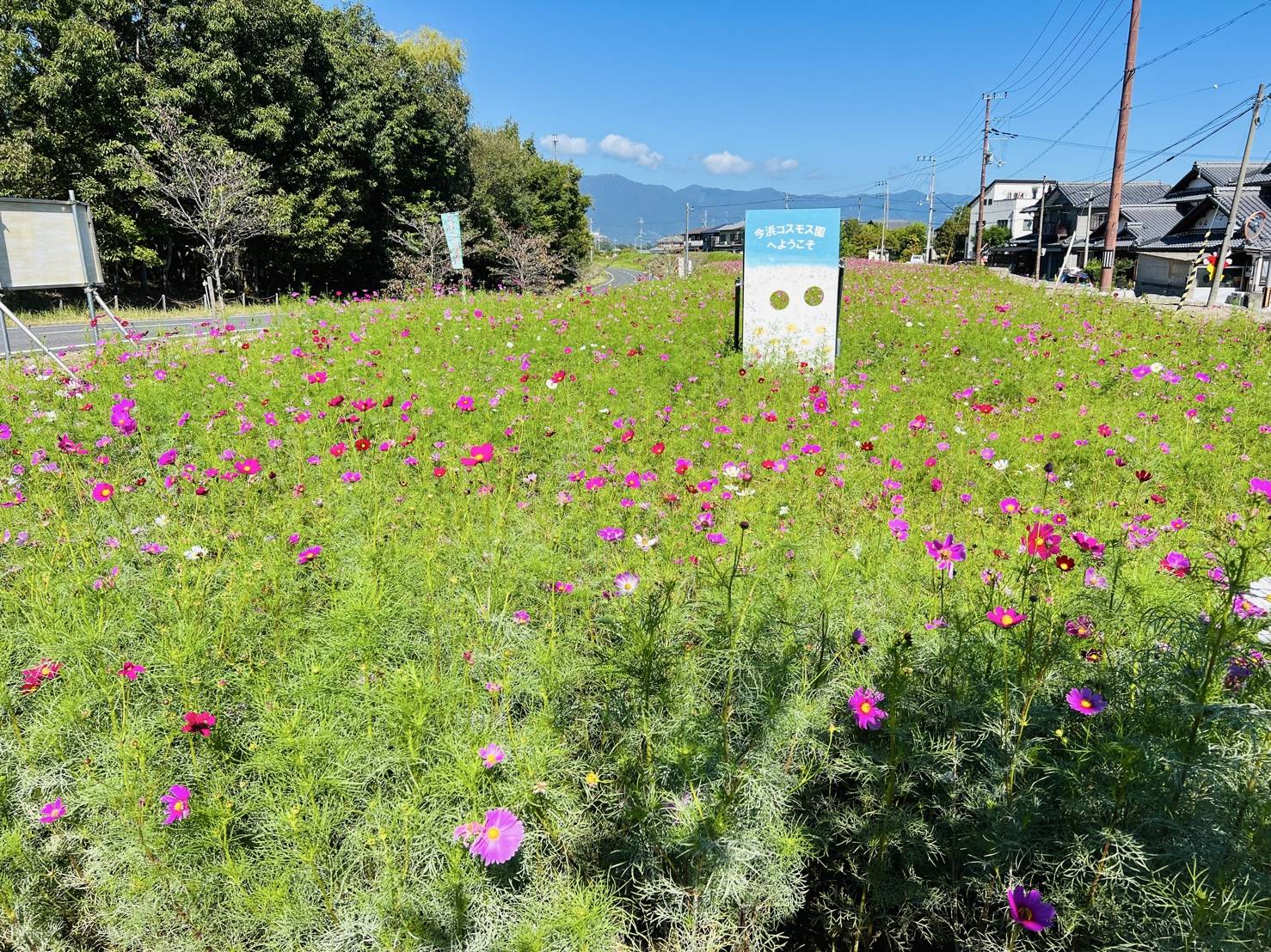 【出会ってきました！！】02