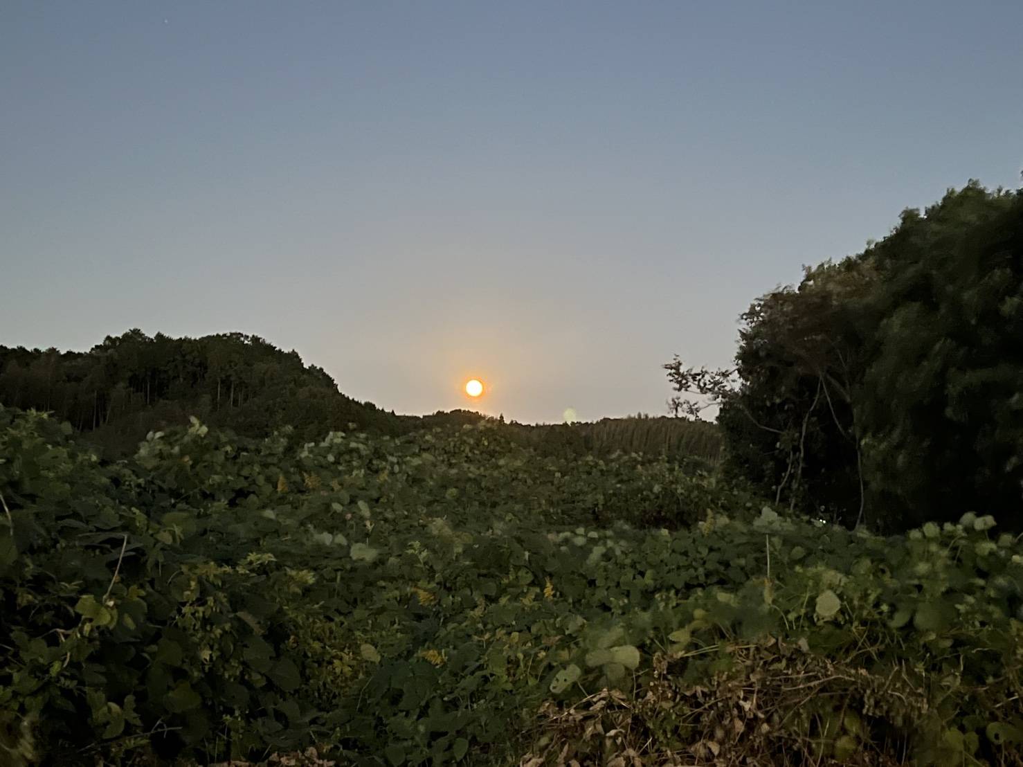 【スーパームーン！？】01