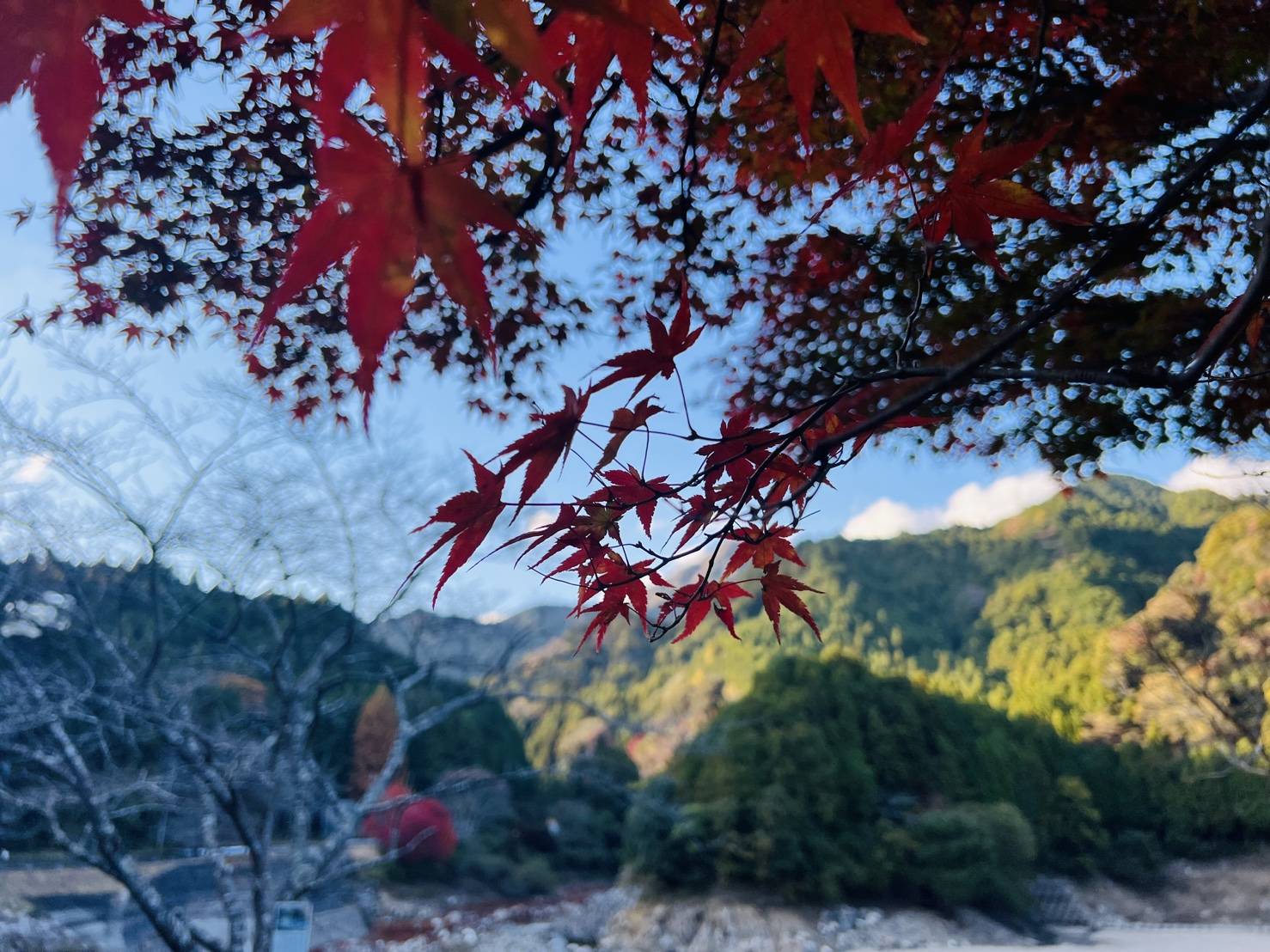 【錫杖湖/しゃくじょうこ】04