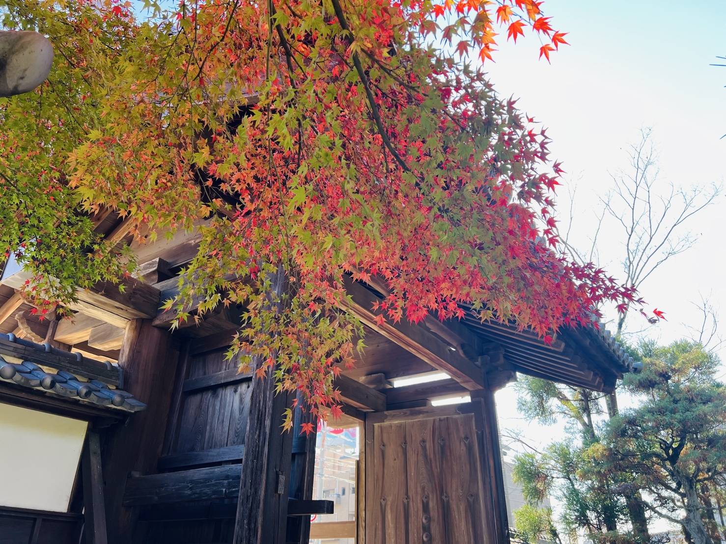 【神社・お寺シリーズ/四天王寺】01