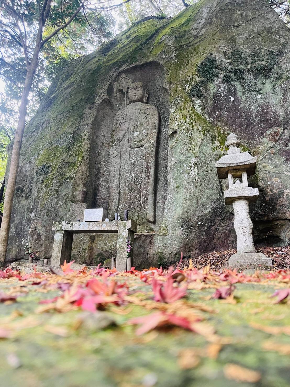 【紅葉を探して】01