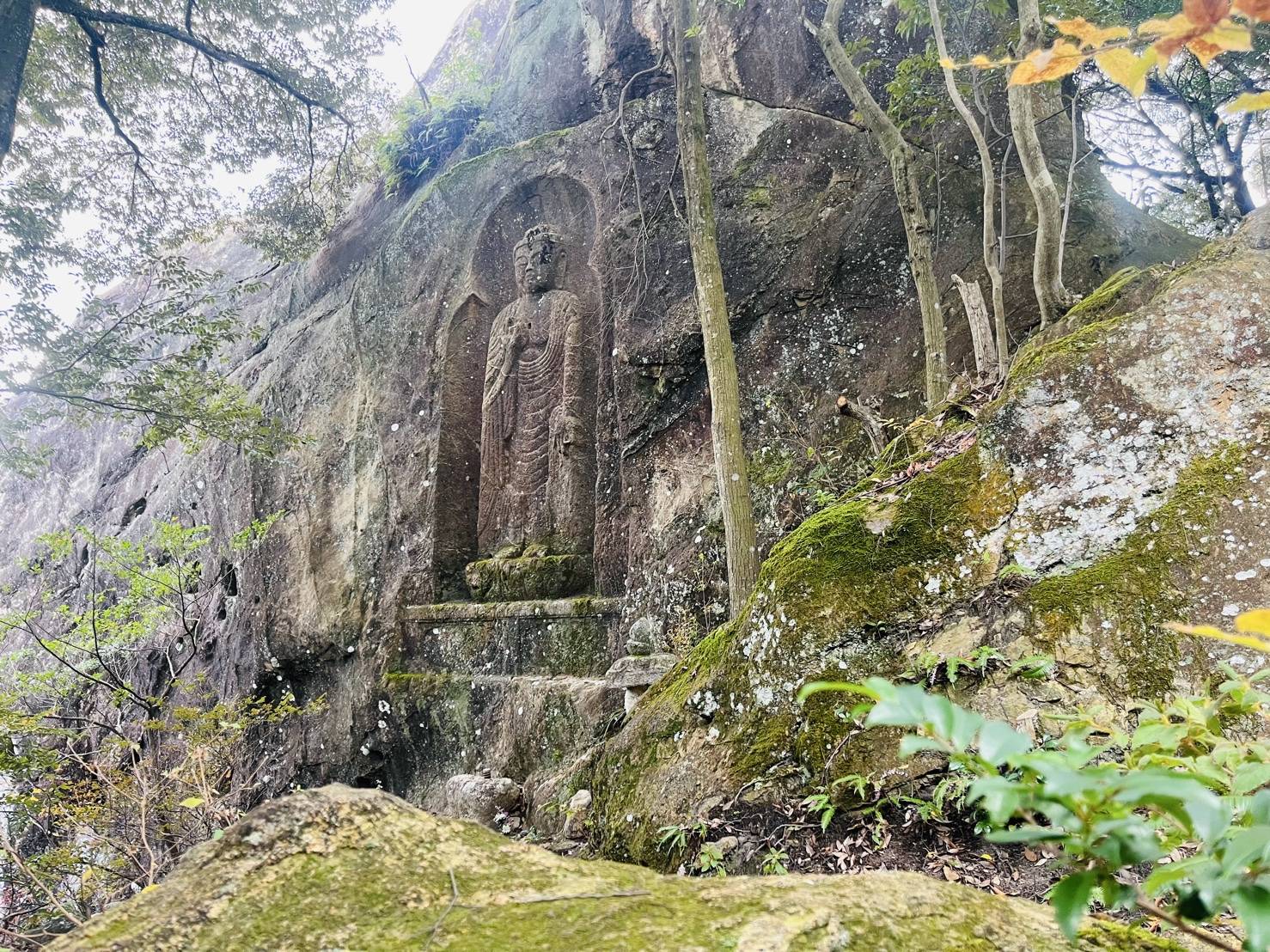 【紅葉を探して】02