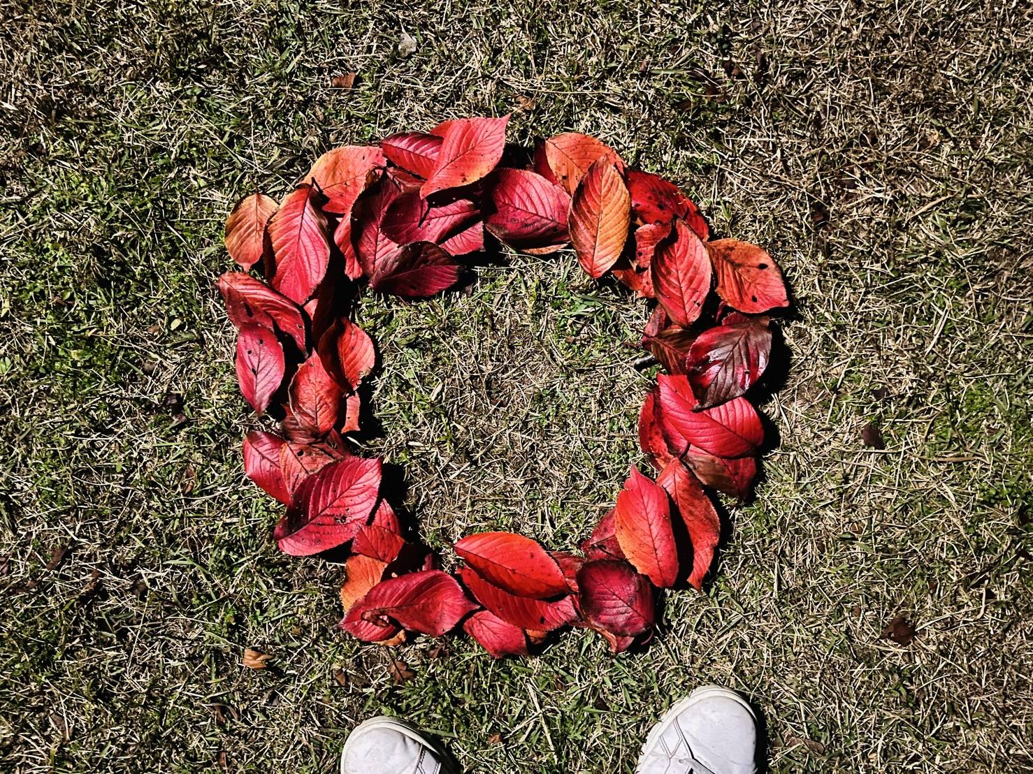 【落ち葉アート②】01