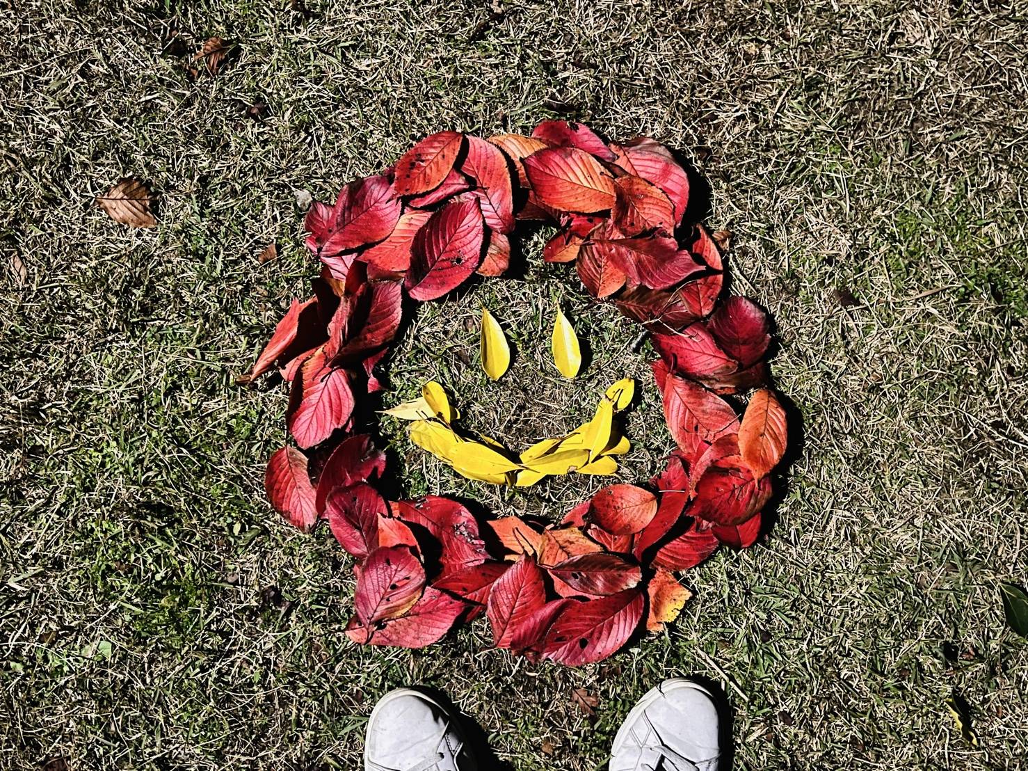 【落ち葉アート②】02