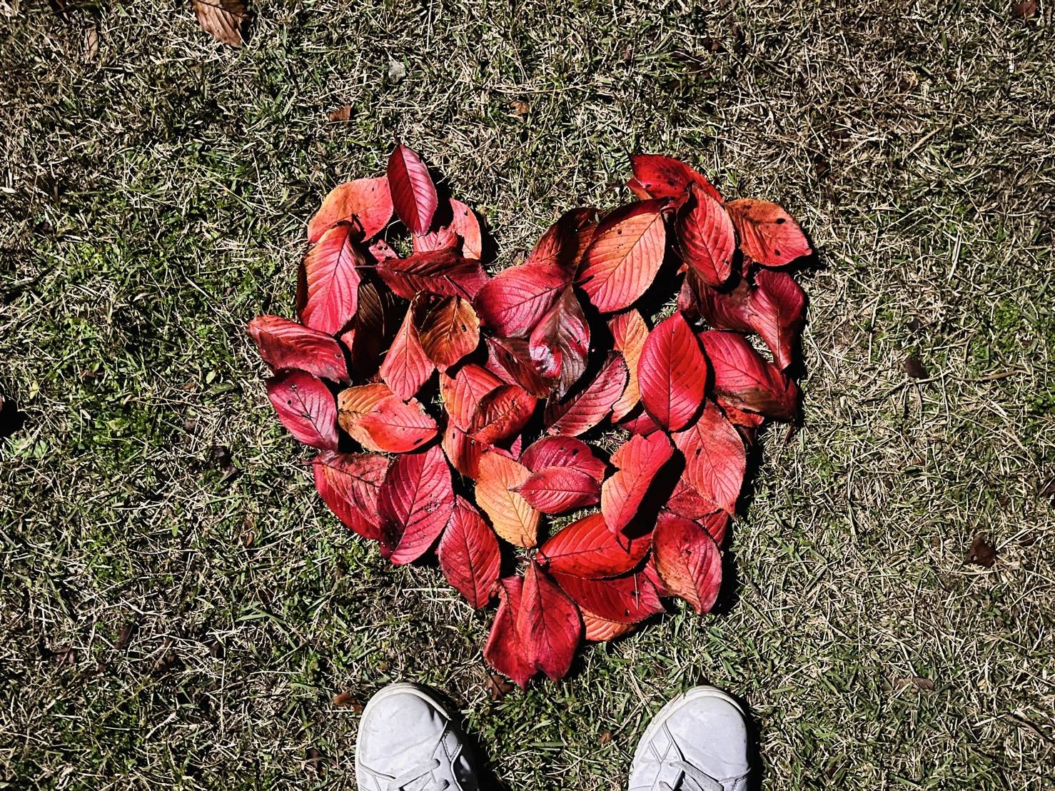【落ち葉アート②】03