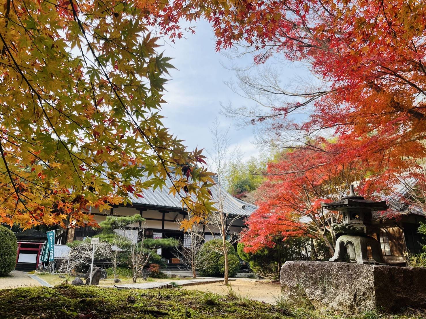 【紅葉を探して②】01