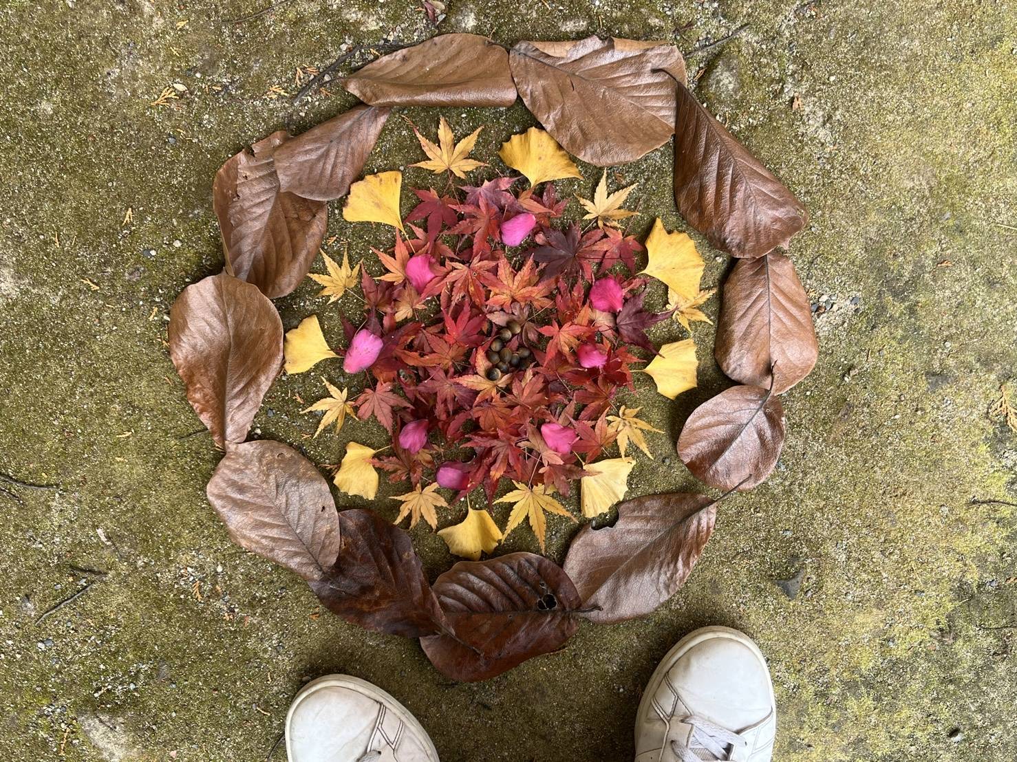 【落ち葉遊び】02