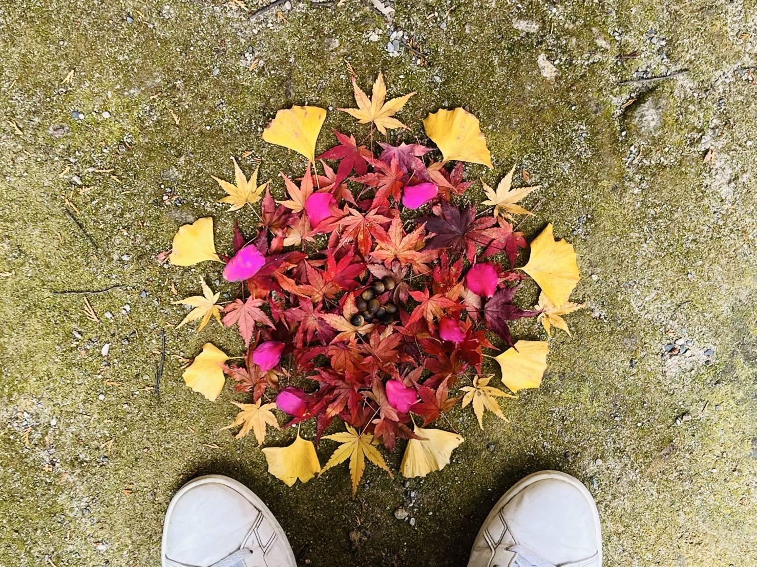 【落ち葉遊び】01