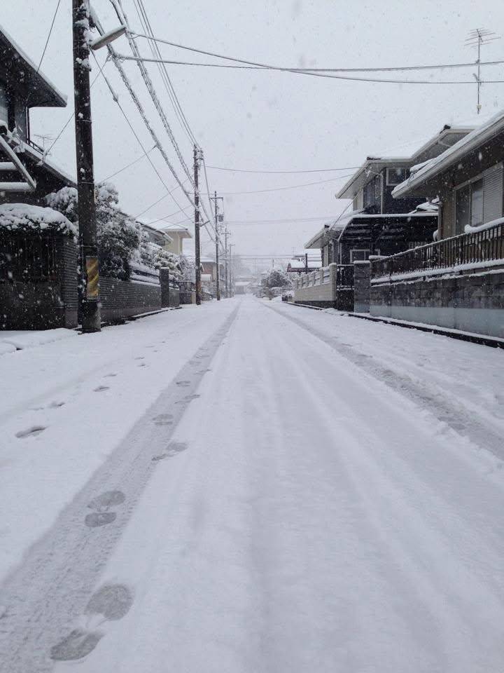 【ガリバー伊賀上野店/大雪】04