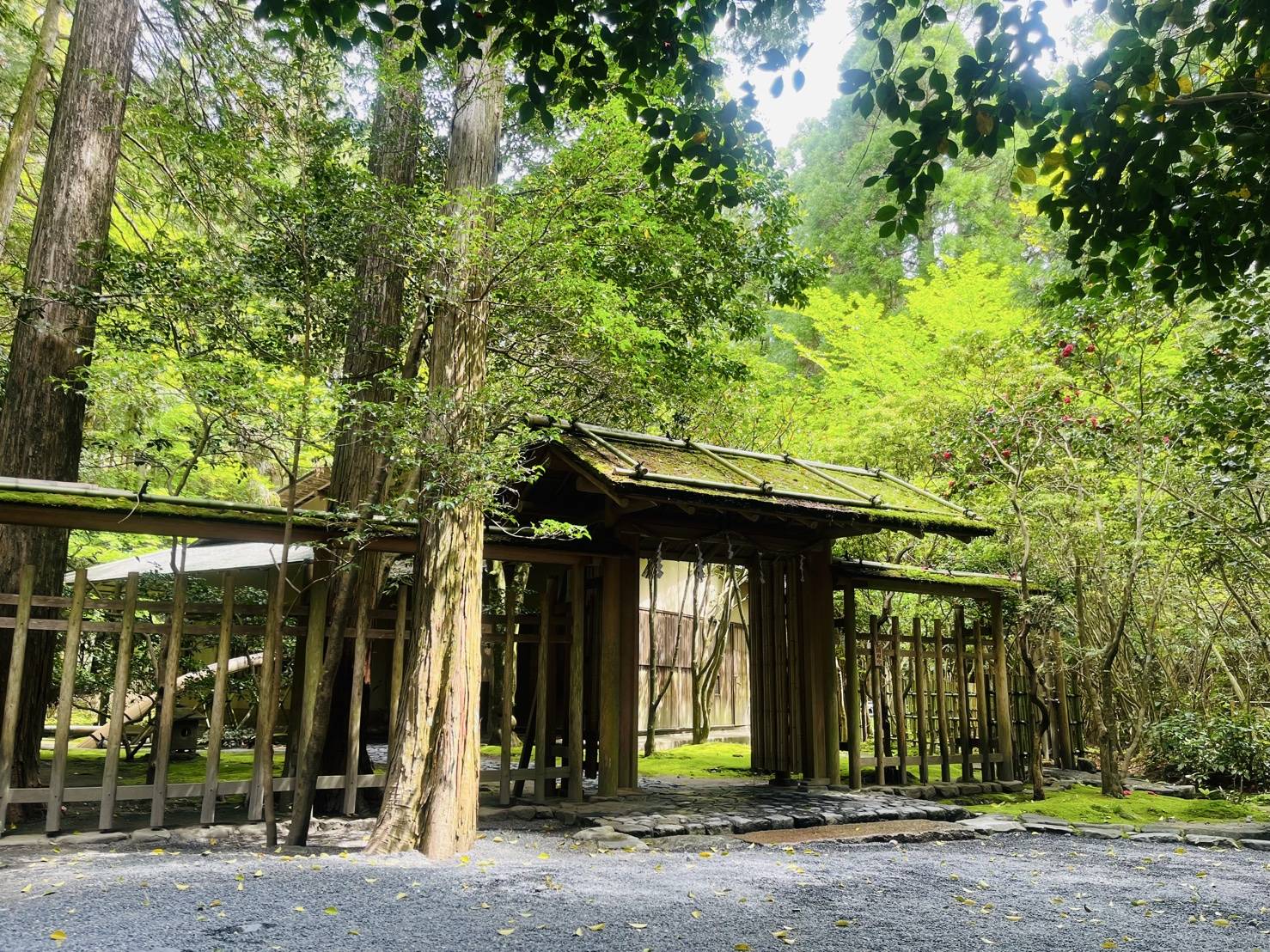 【ガリバー伊賀上野店//椿大神社】03