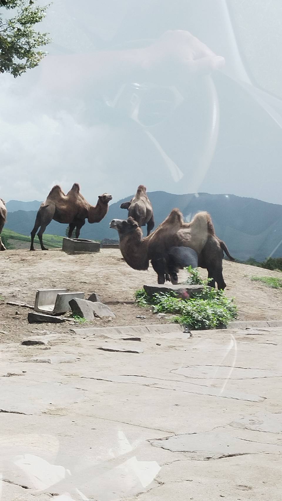 先月ご納車したお客様から素敵な写真を頂きました！！