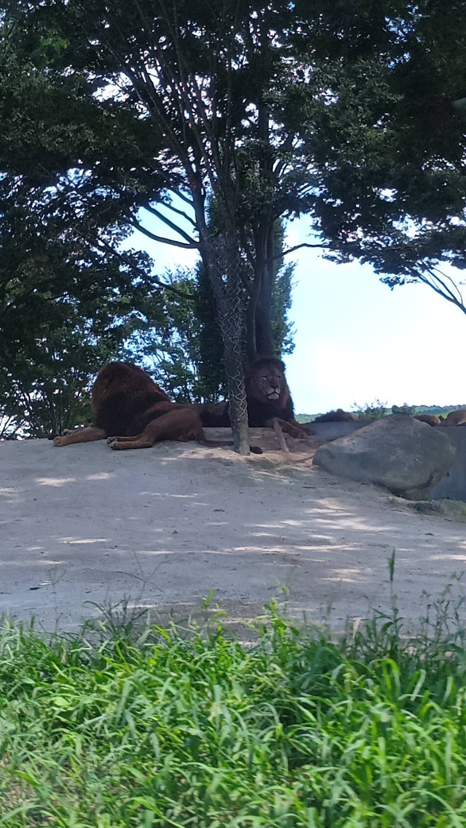 先月ご納車したお客様から素敵な写真を頂きました！！01