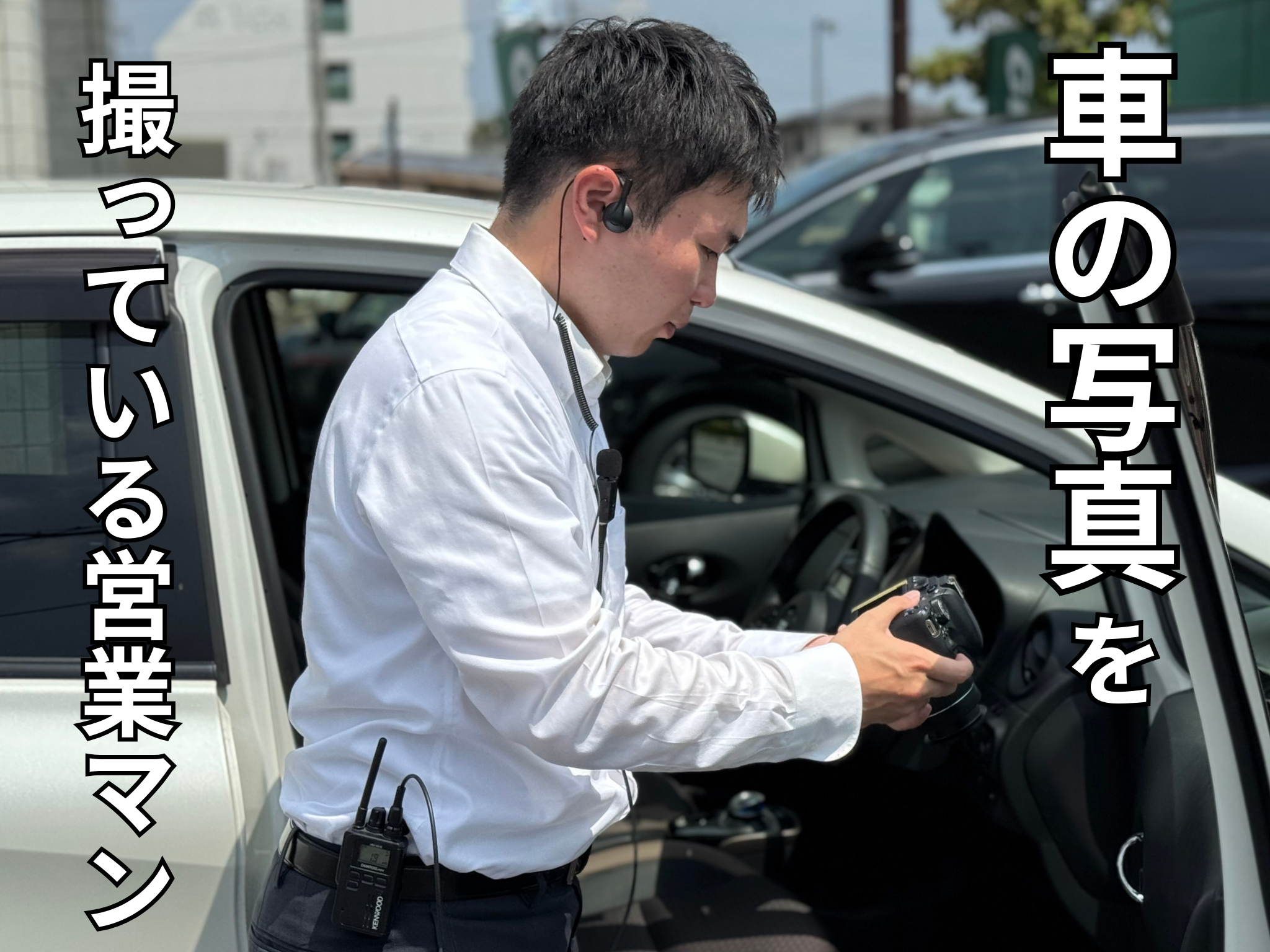 この真剣な眼差しをご覧ください