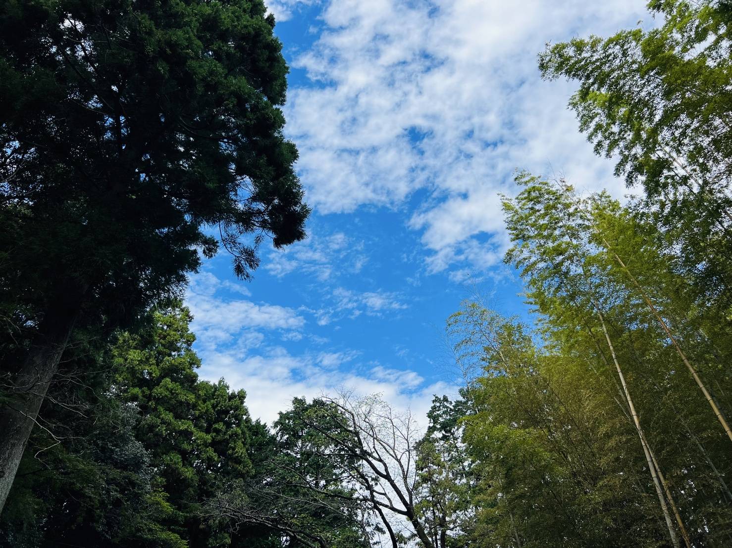 【30年ぶりに訪問!?】04