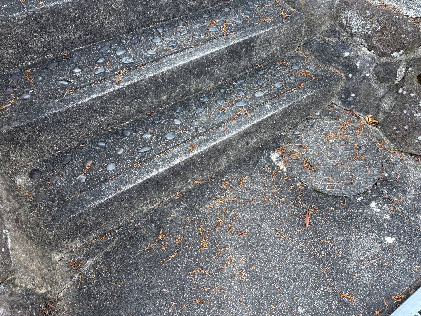 【奴が現れた！！】