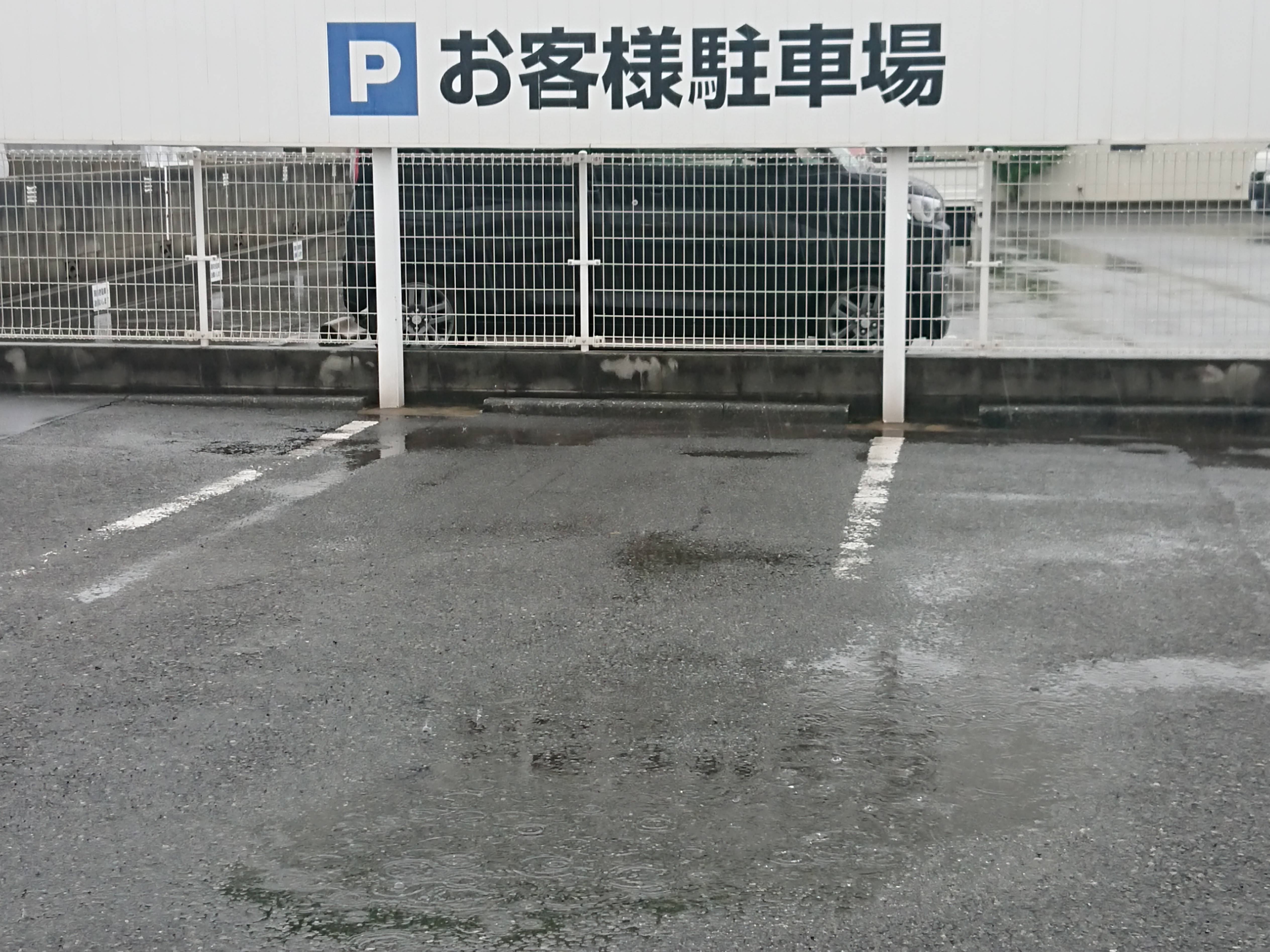 雨...