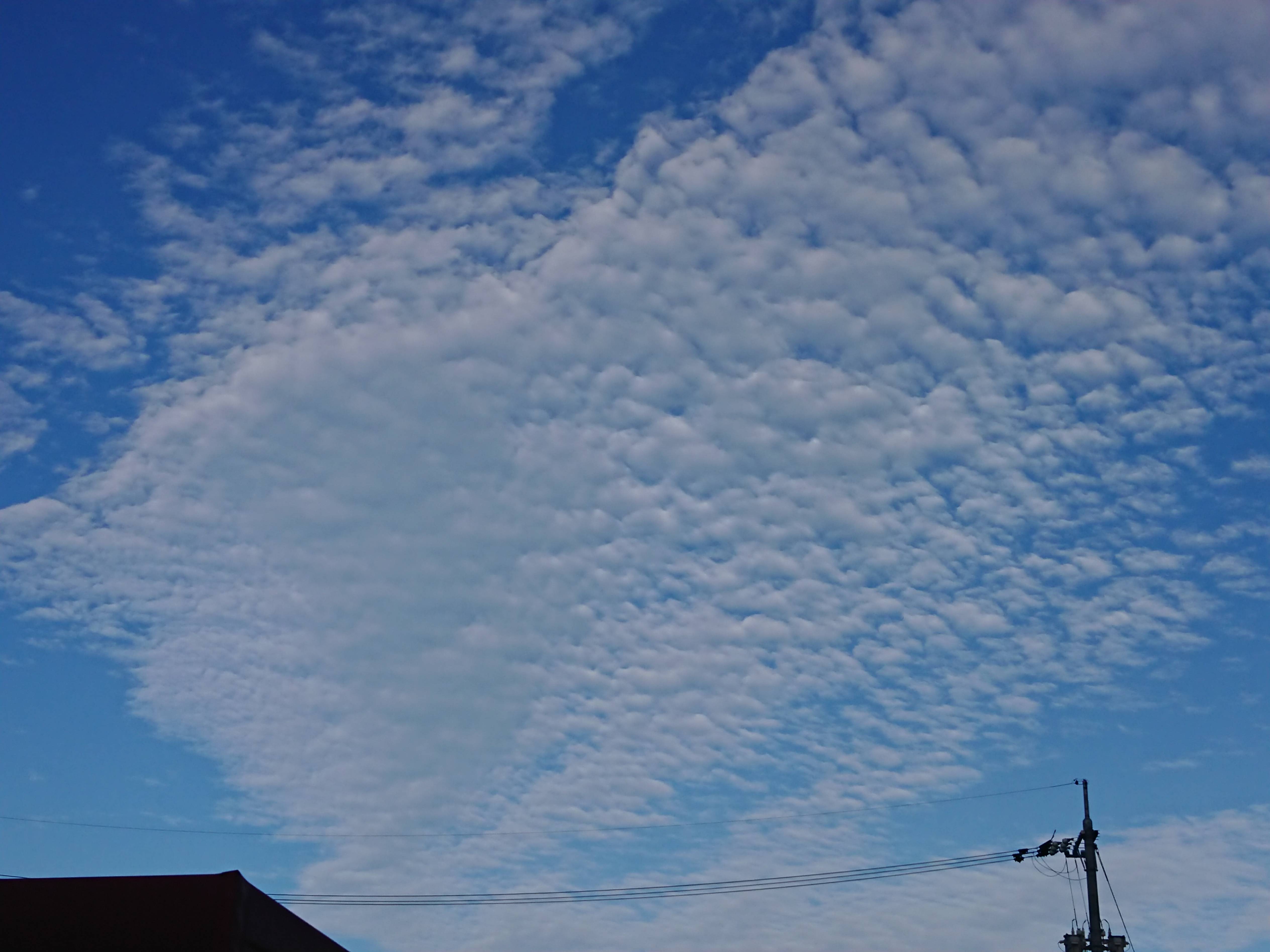 うろこ雲