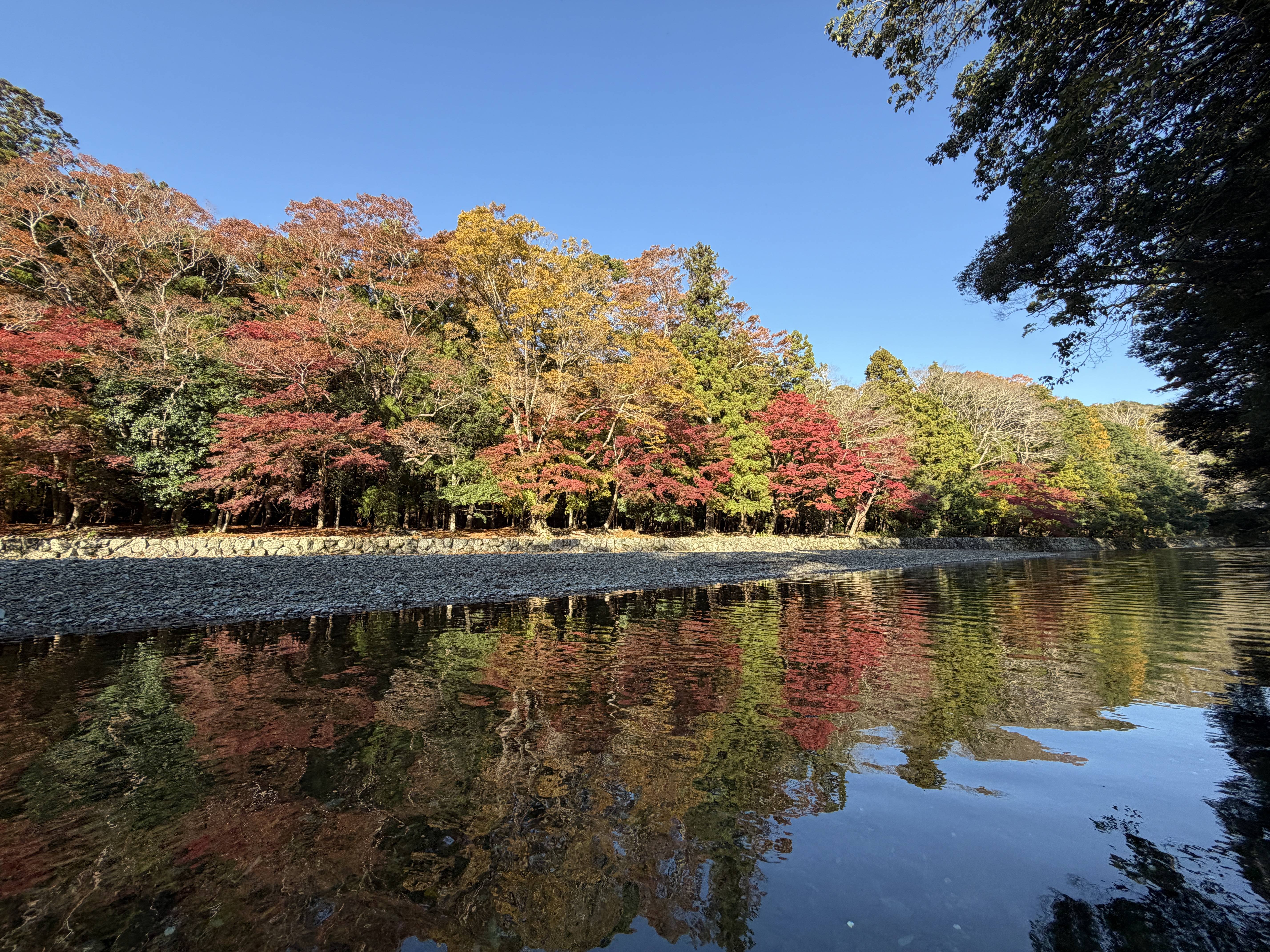 日本でここだけの”あの子たち”に会いに行ってきました！！01